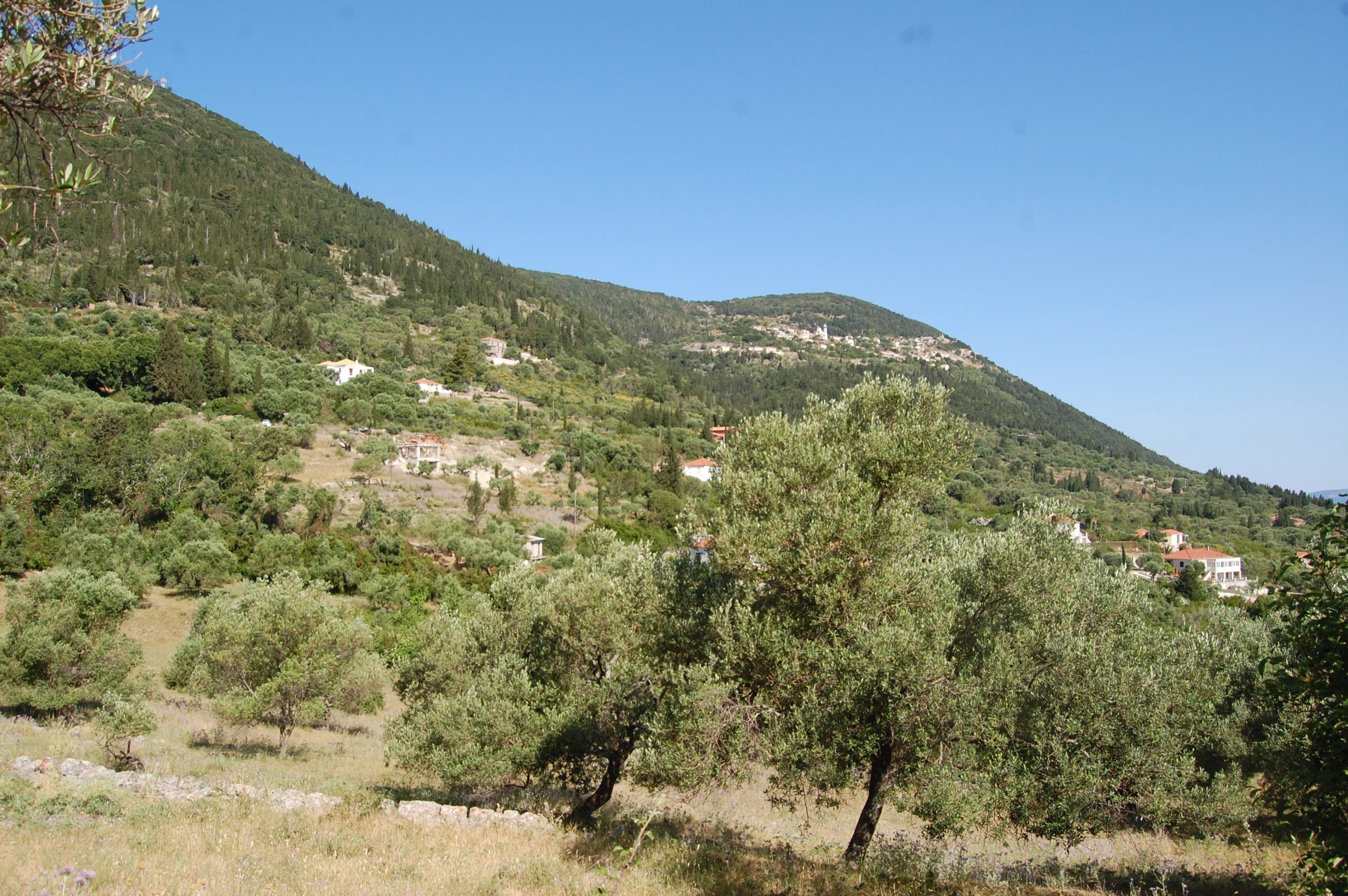 Landscape and terrain of land for sale on Ithaca Greece, Pilikata