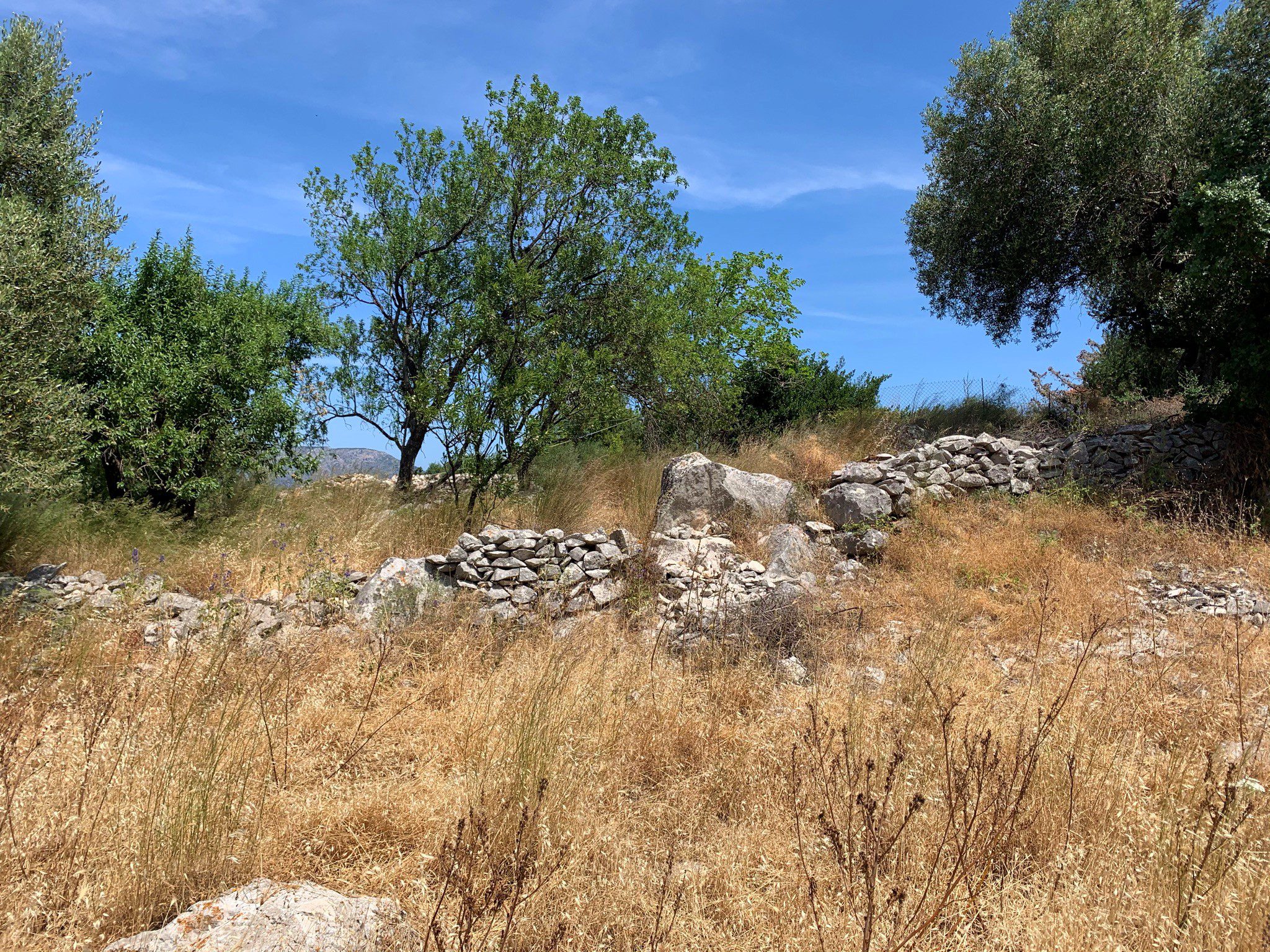 Landscape and terrain of land for sale in Ithaca Greece, Perachori