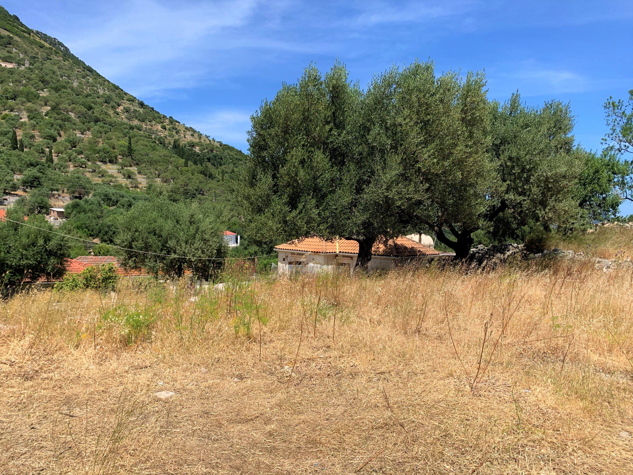 Landscape and terrain of land for sale on Ithaca Greece, Perachori