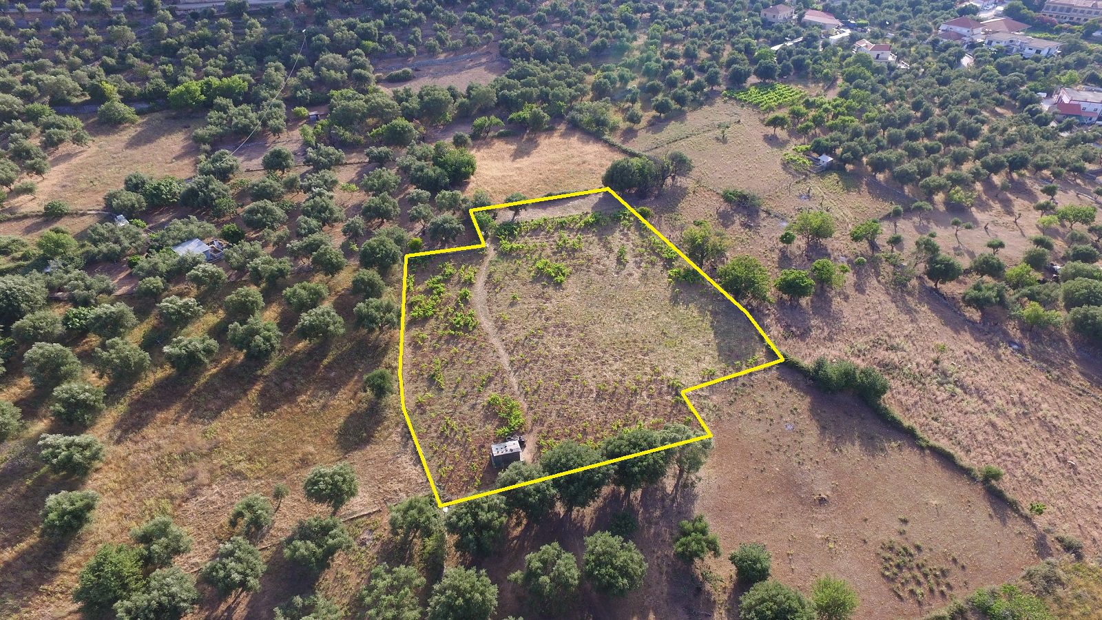 Aerial view and border of land for sale Ithaca Greece, Vathi