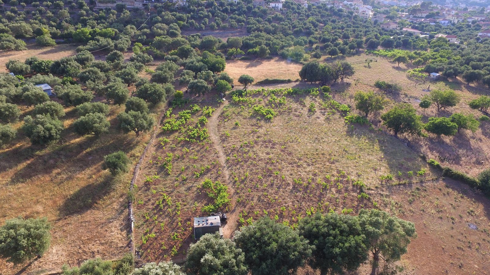 Aerial view of land for sale Ithaca Greece, Vathi