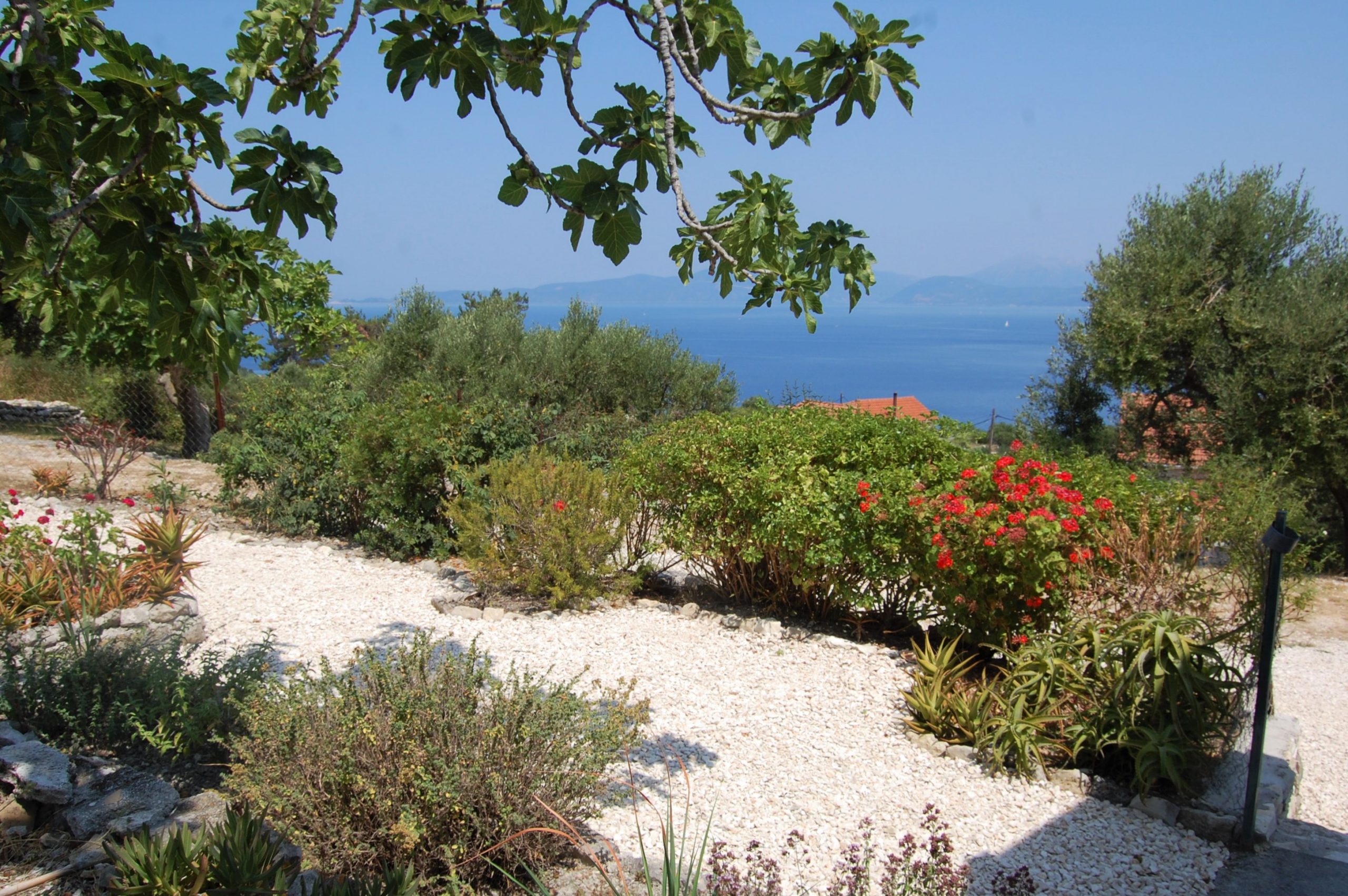 Terrace and garden of house for sale in Ithaca Greece,Ag Saranta