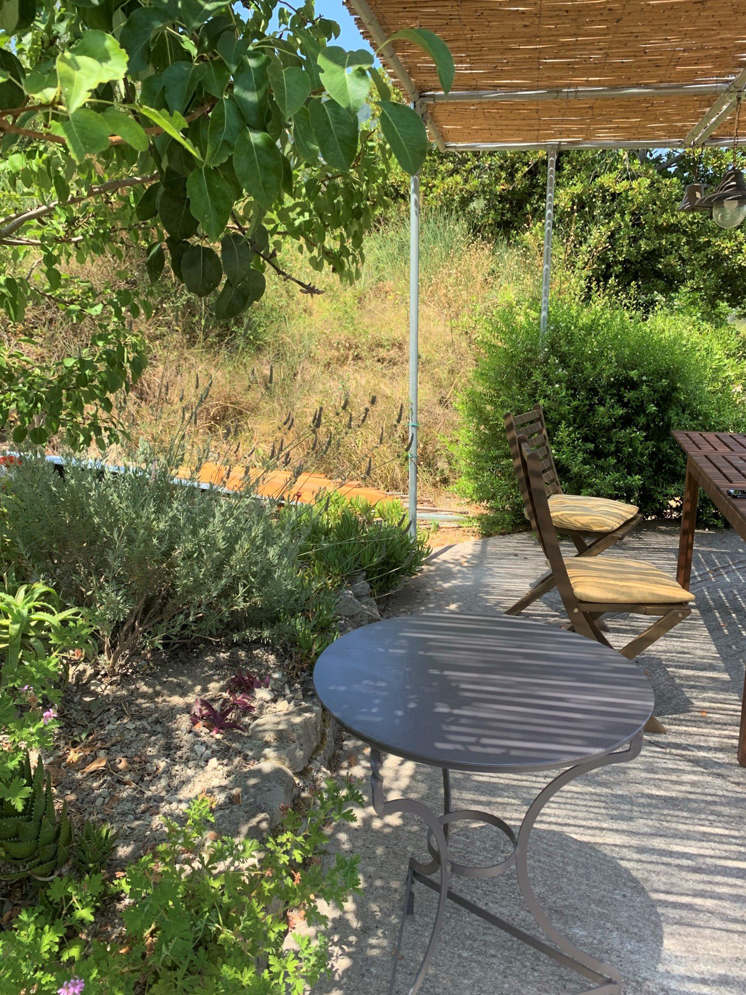 Garden and terrace of house for sale in Ithaca Greece,Ag Saranta