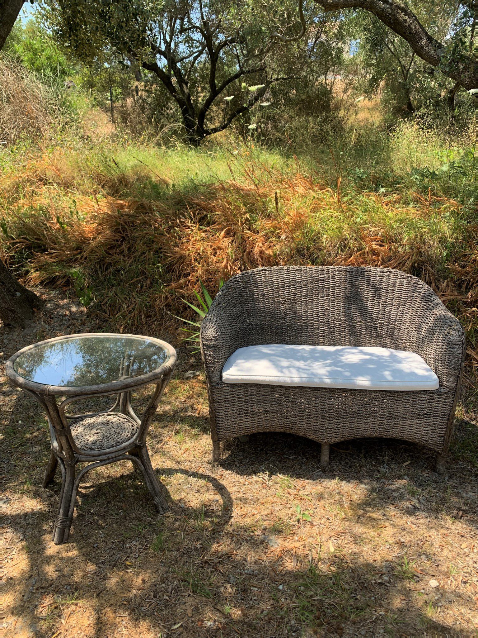 Garden of house for sale in Ithaca Greece,Ag Saranta