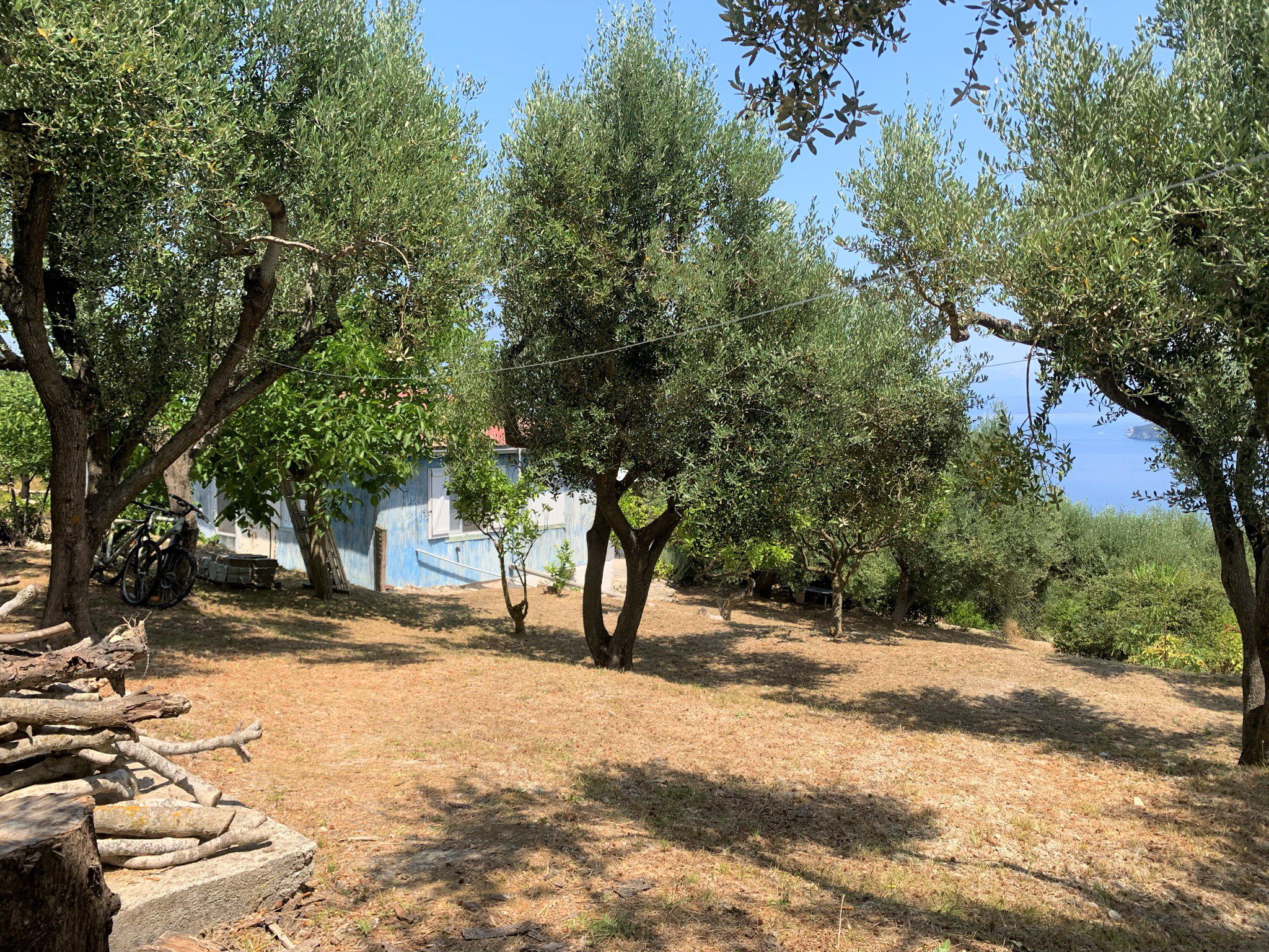 Garden of house for sale in Ithaca Greece,Ag Saranta