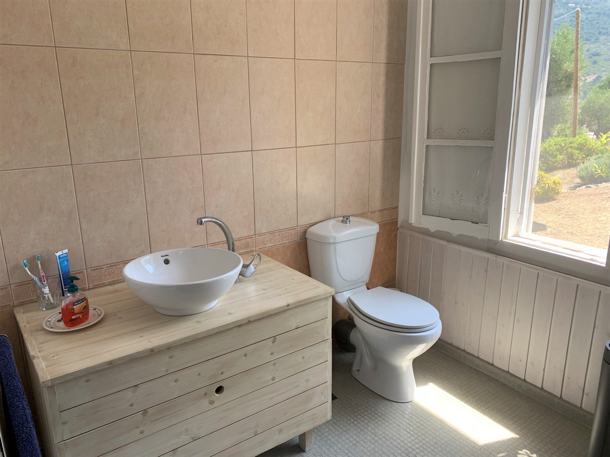 Bathroom of house for sale in Ithaca Greece,Ag Saranta