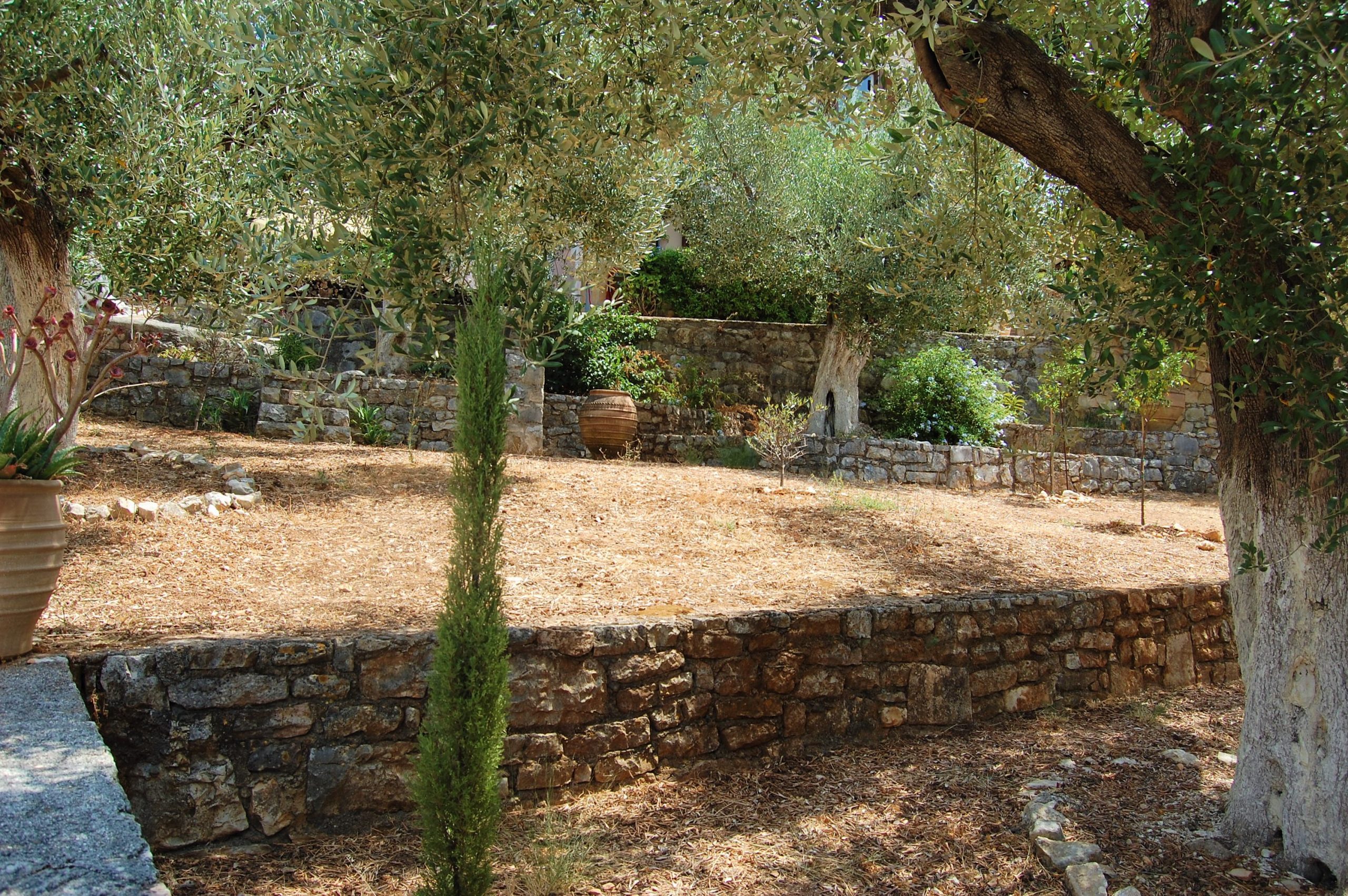 Garden of house for sale in Ithaca Greece, Vathi