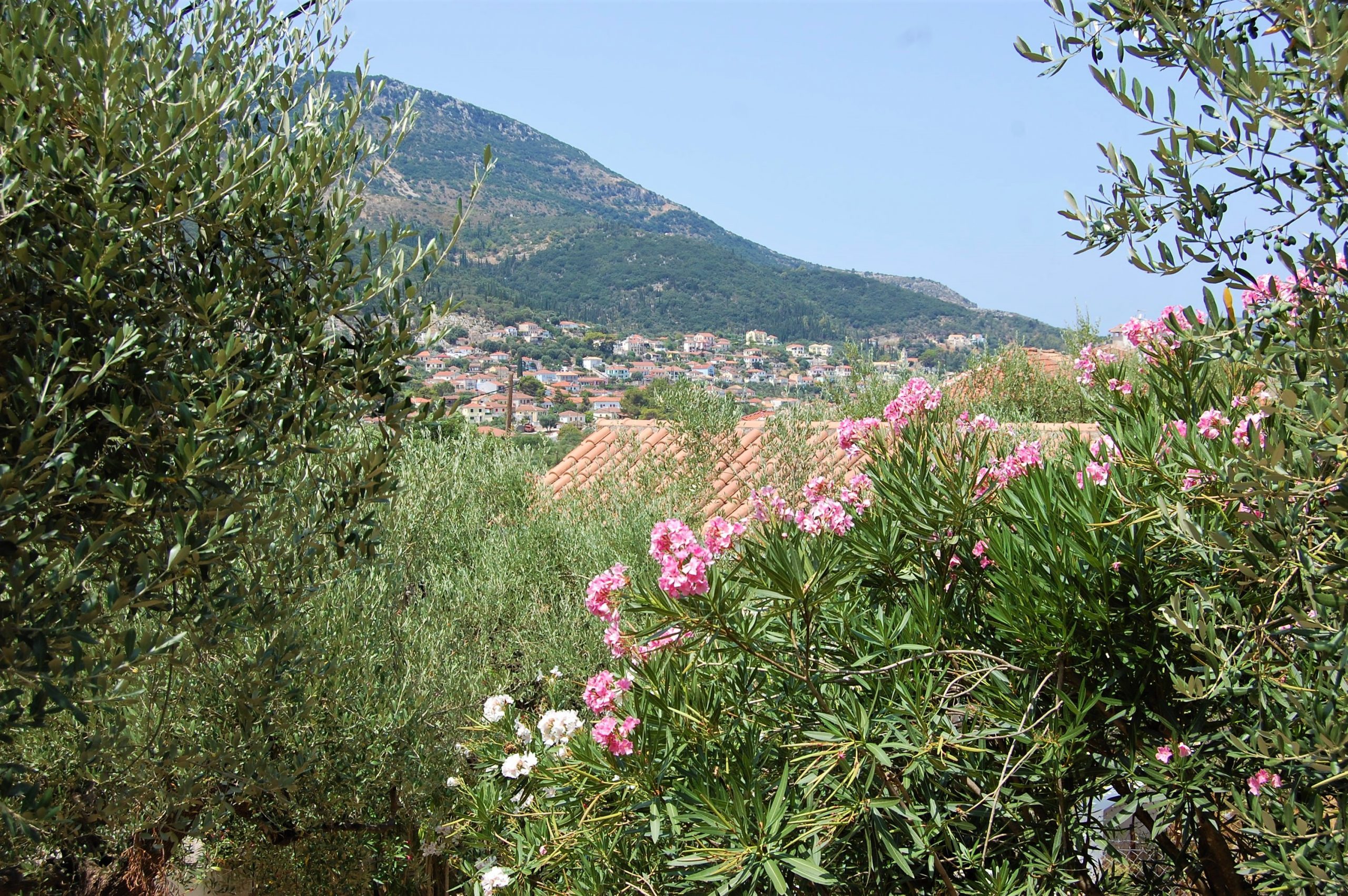 Views from house for sale in Ithaca Greece, Vath