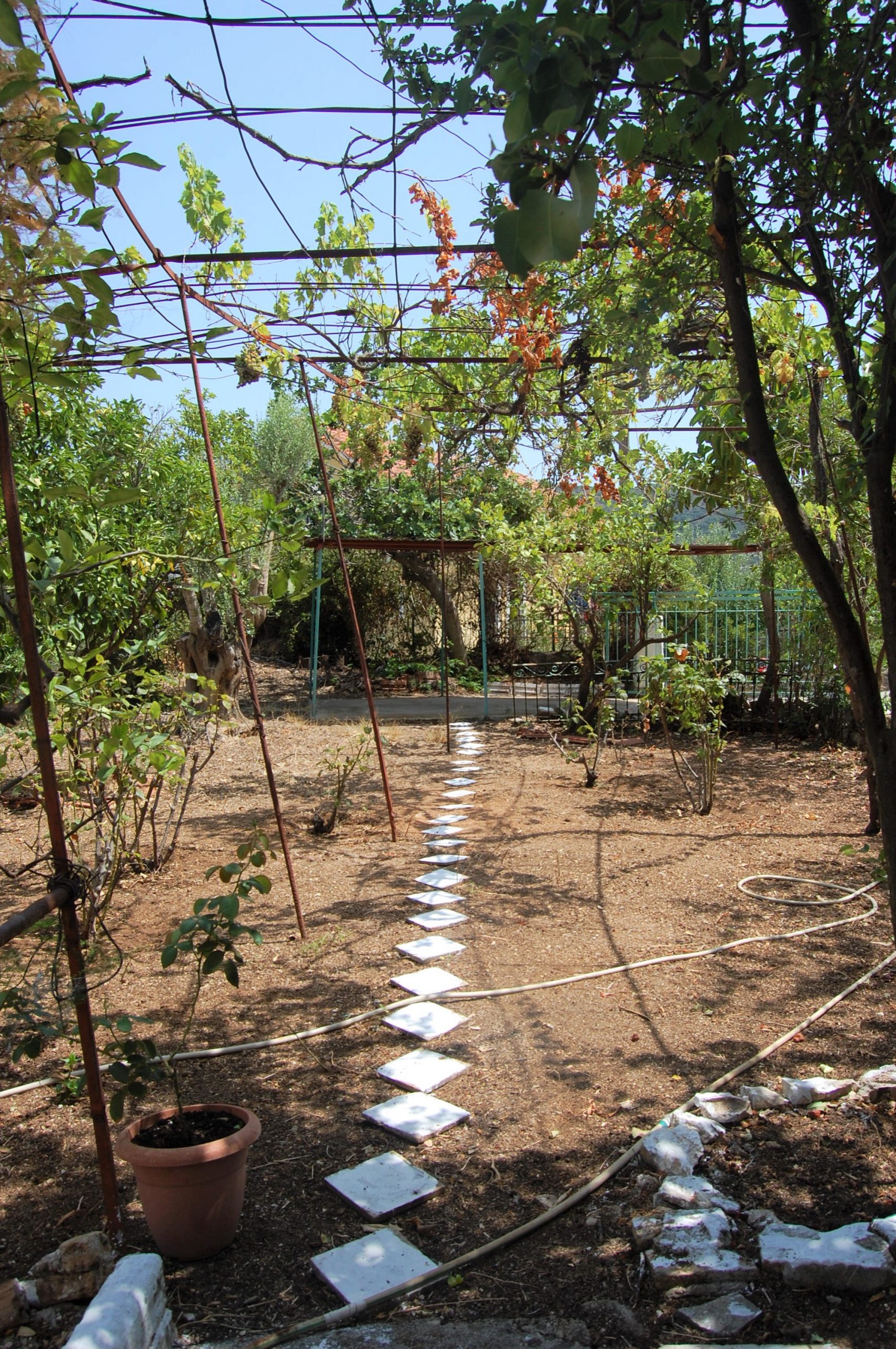 Garden of house for sale in Ithaca Greece, Vathi