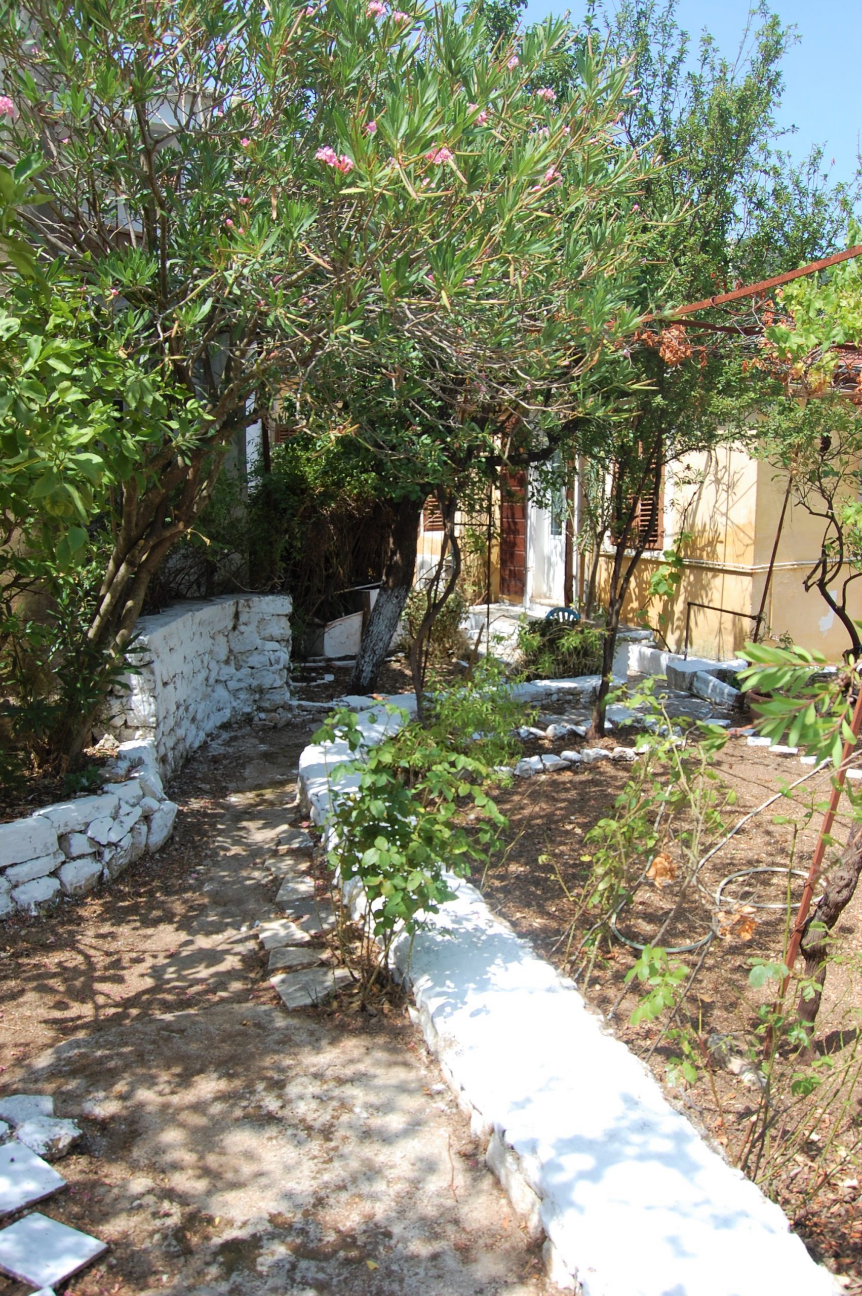 Garden of house for sale in Ithaca Greece, Vathi