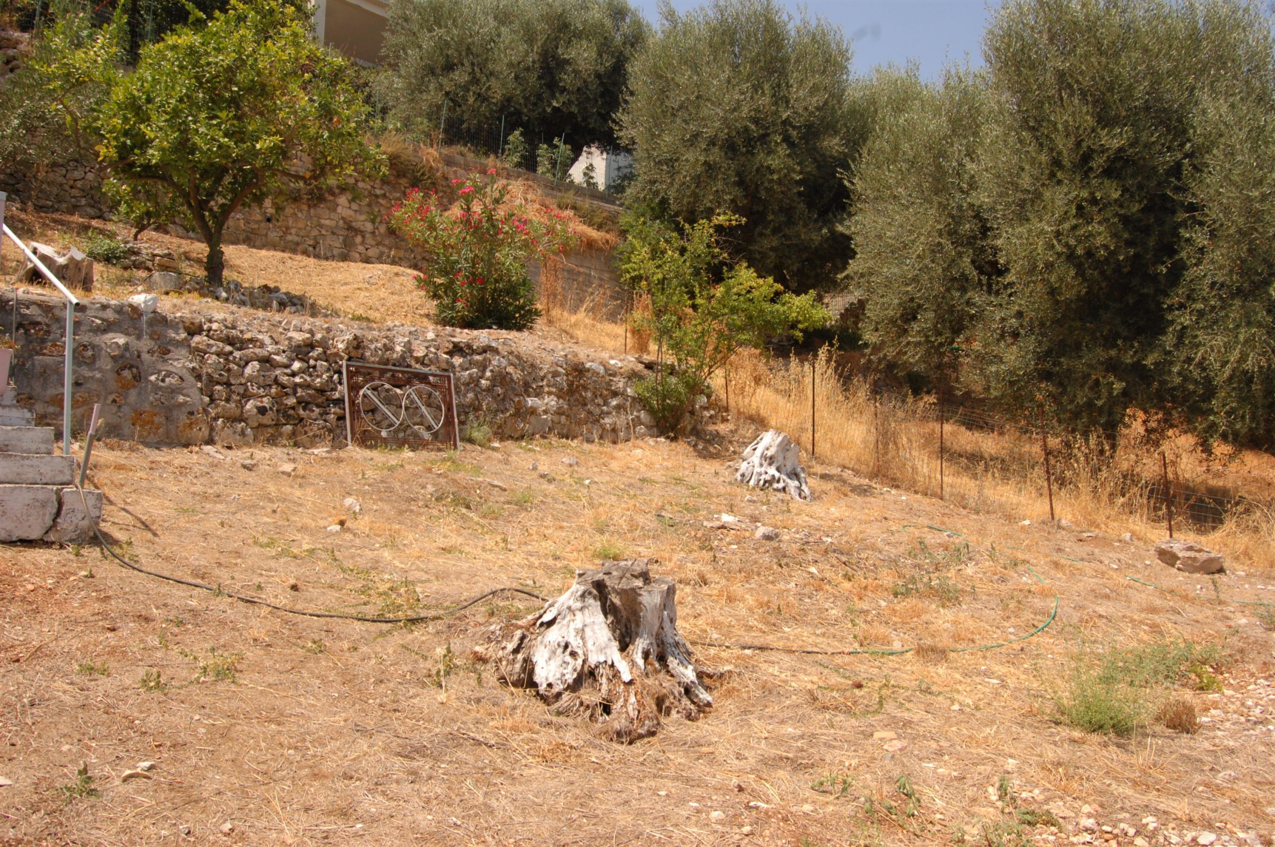 Landscape and terrain from land for sale in Ithaca Greece, Vathi