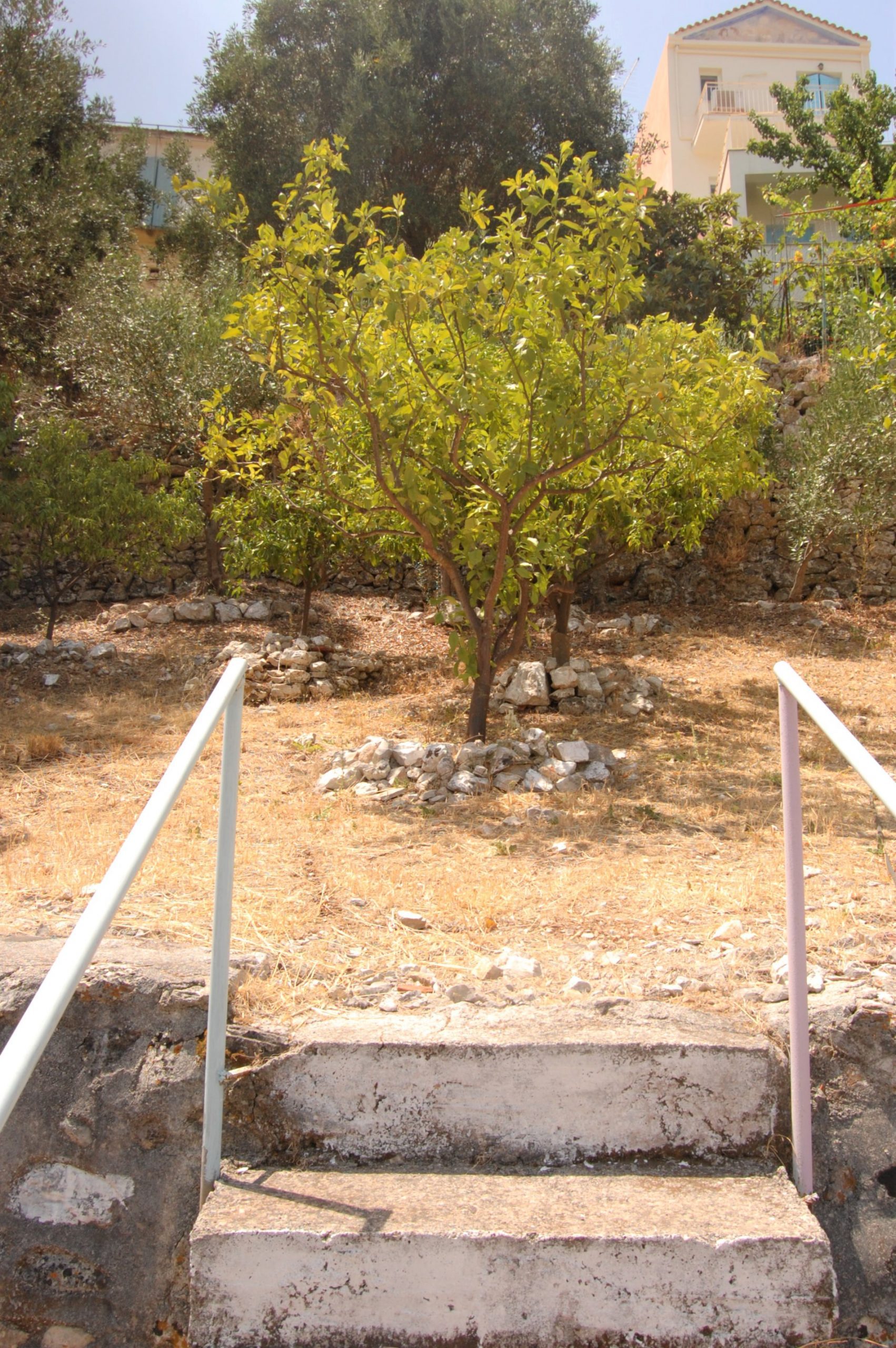 Landscape and terrain from land for sale in Ithaca Greece, Vathi