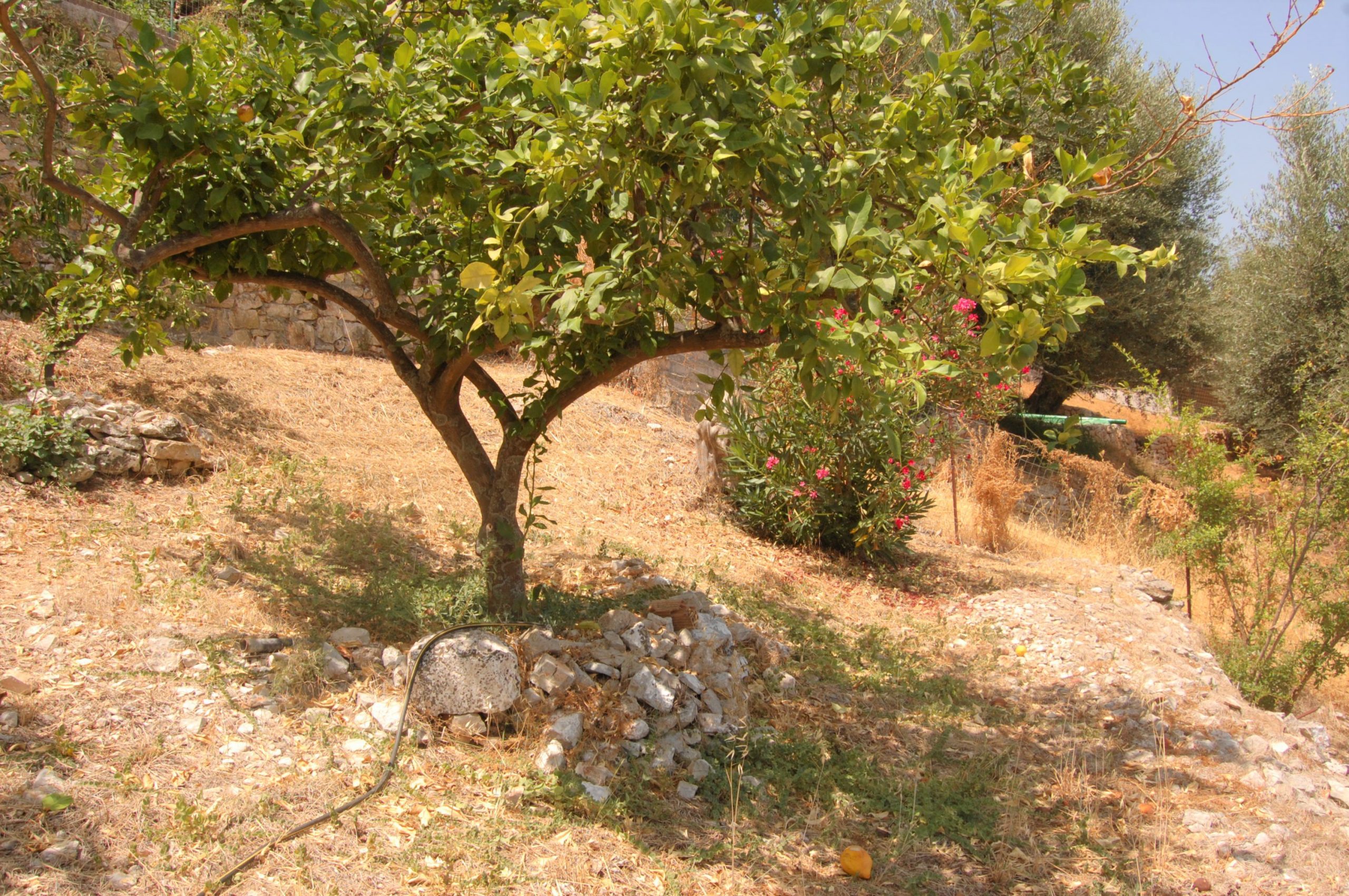 Landscape and terrain from land for sale in Ithaca Greece, Vathi