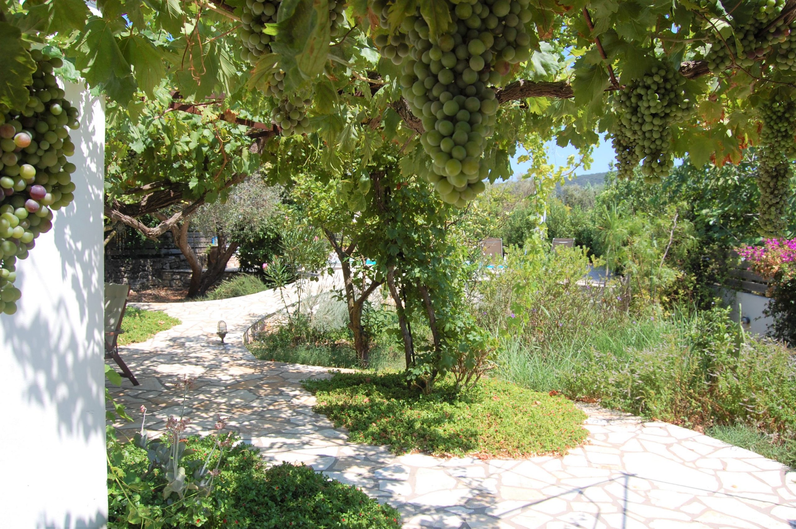 Outside spaces of house for rent in Ithaca Greece, Vathi