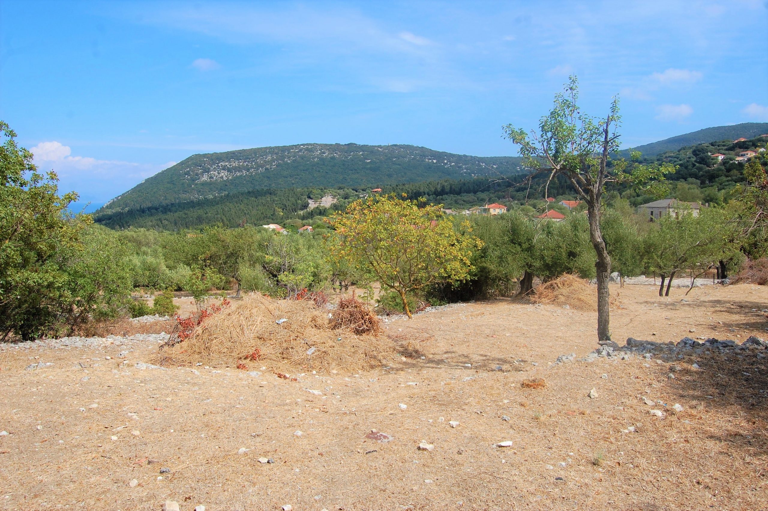Landscape and terrain of land for sale Ithaca Greece, Stavros