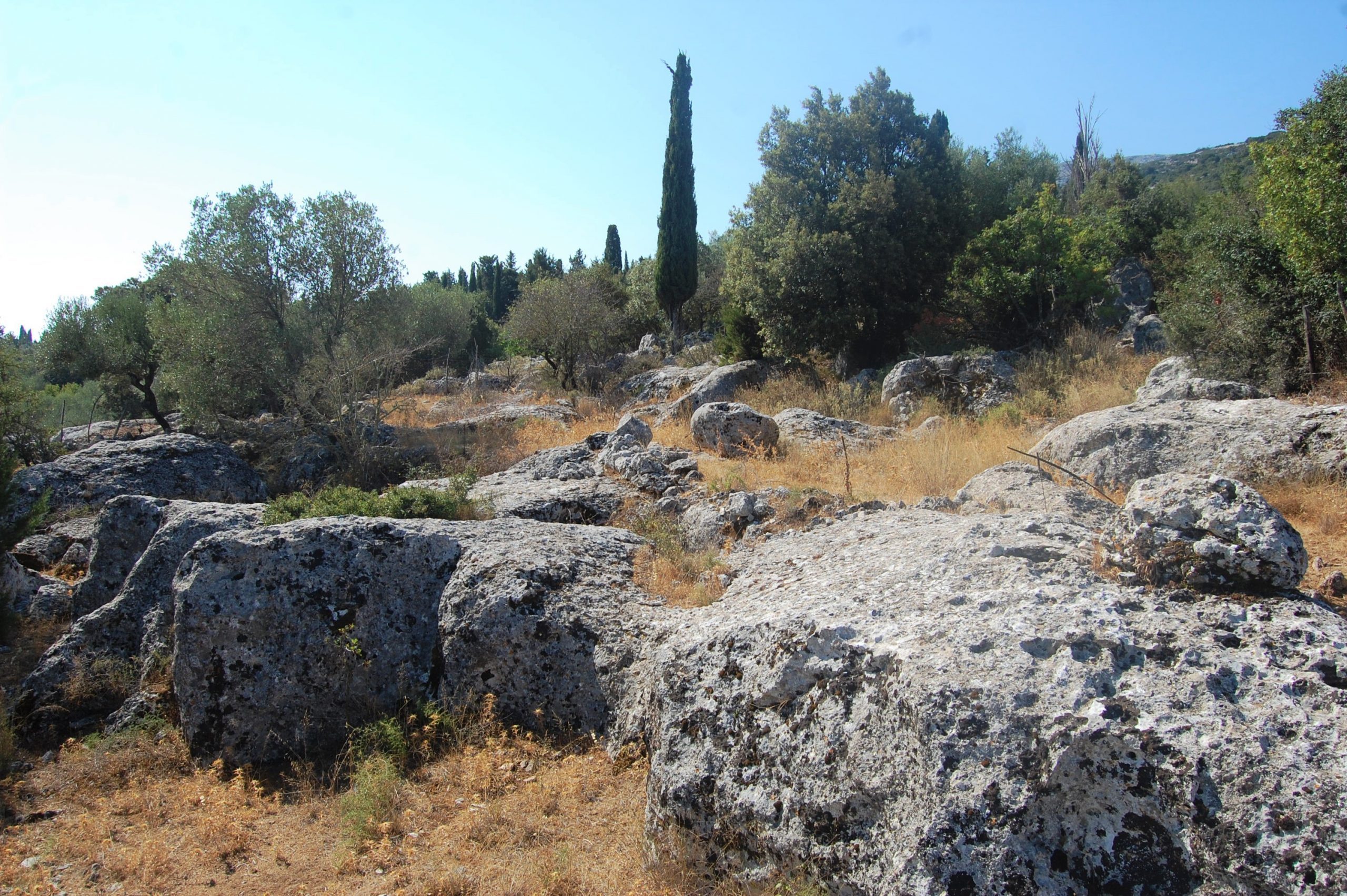 Surrounding area of house for sale Ithaca Greece, Anoghi