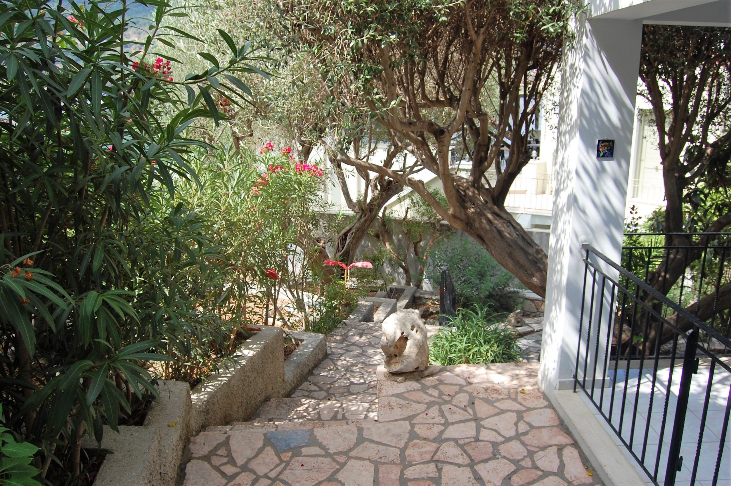 Outdoor space of house for sale Ithaca Greece, Vathi