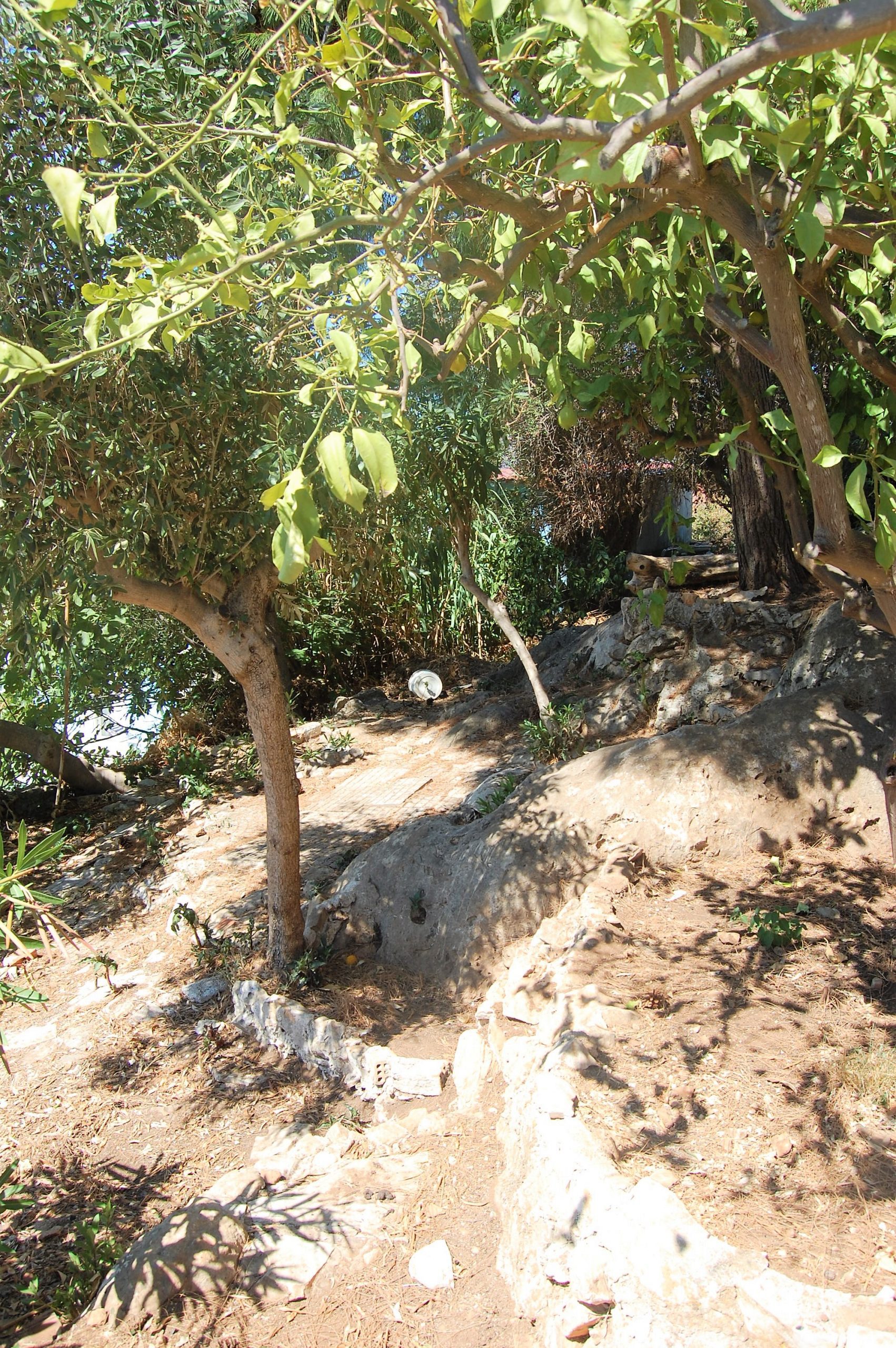 Garden of house for sale Ithaca Greece, Vathi
