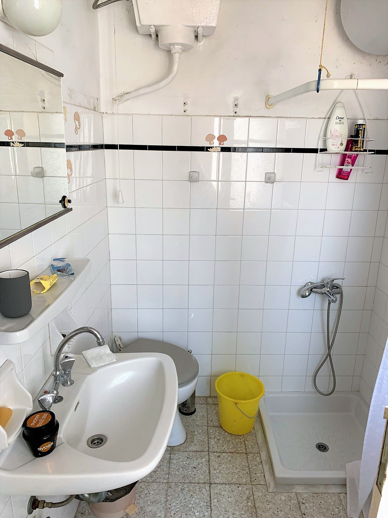 Bathroom of house for sale Ithaca Greece, Vath