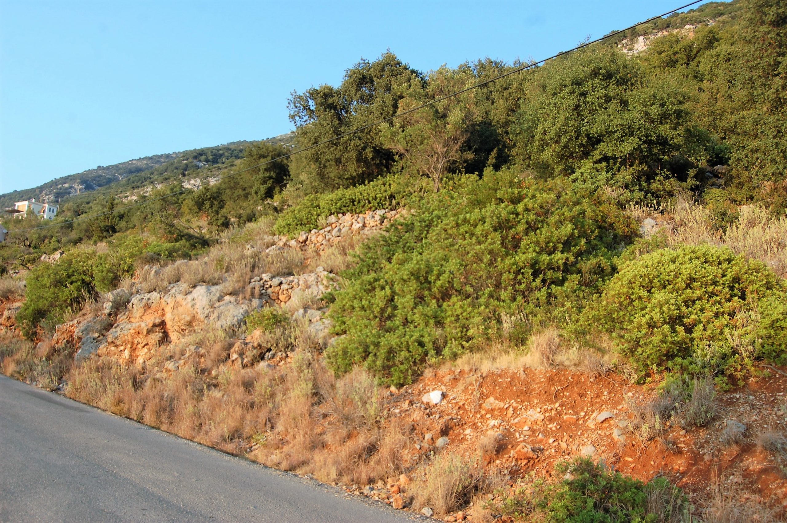 Views of land for sale Ithaca Greece, Lefki