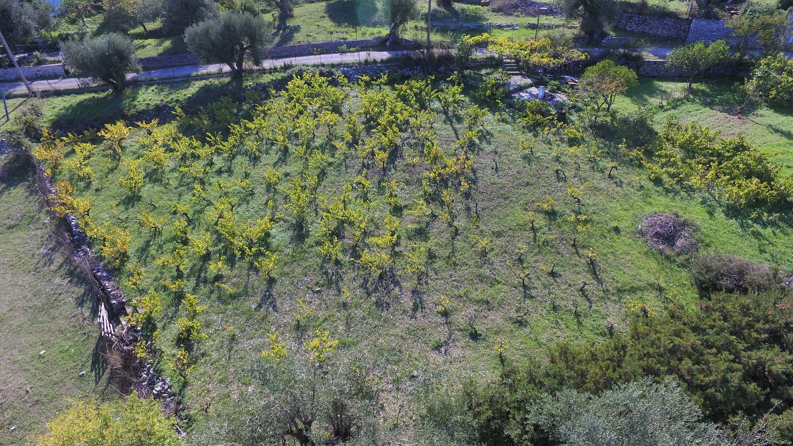 Aerial view of land for sale Ithaca Greece, Kolleri
