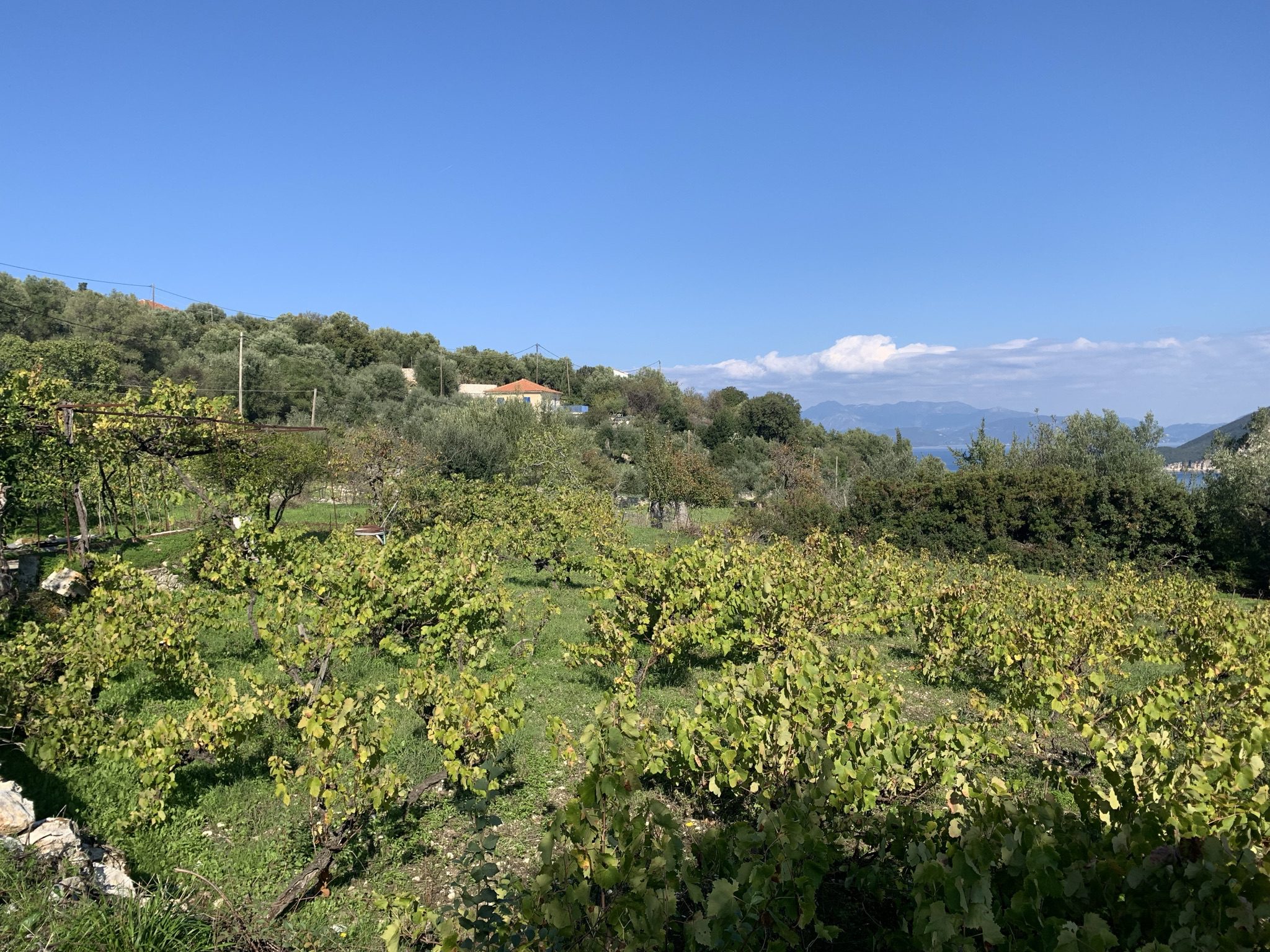 Landscape and terrain of land for sale Ithaca Greece, Kolleri