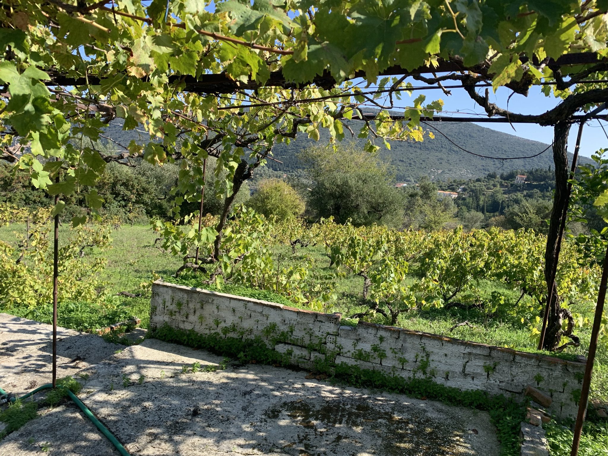 Landscape and terrain of land for sale Ithaca Greece, Kolleri
