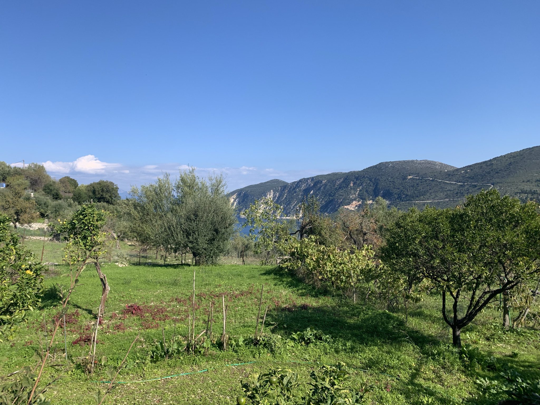 Landscape and terrain of land for sale Ithaca Greece, Kolleri