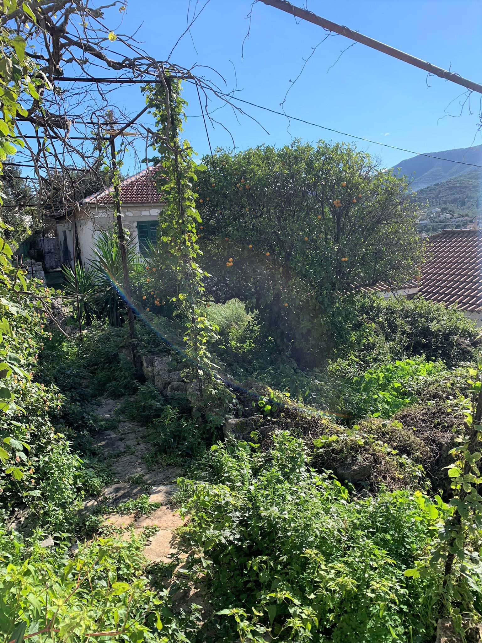 Surrounding land of ruin for sale on Ithaca Greece, Vathi