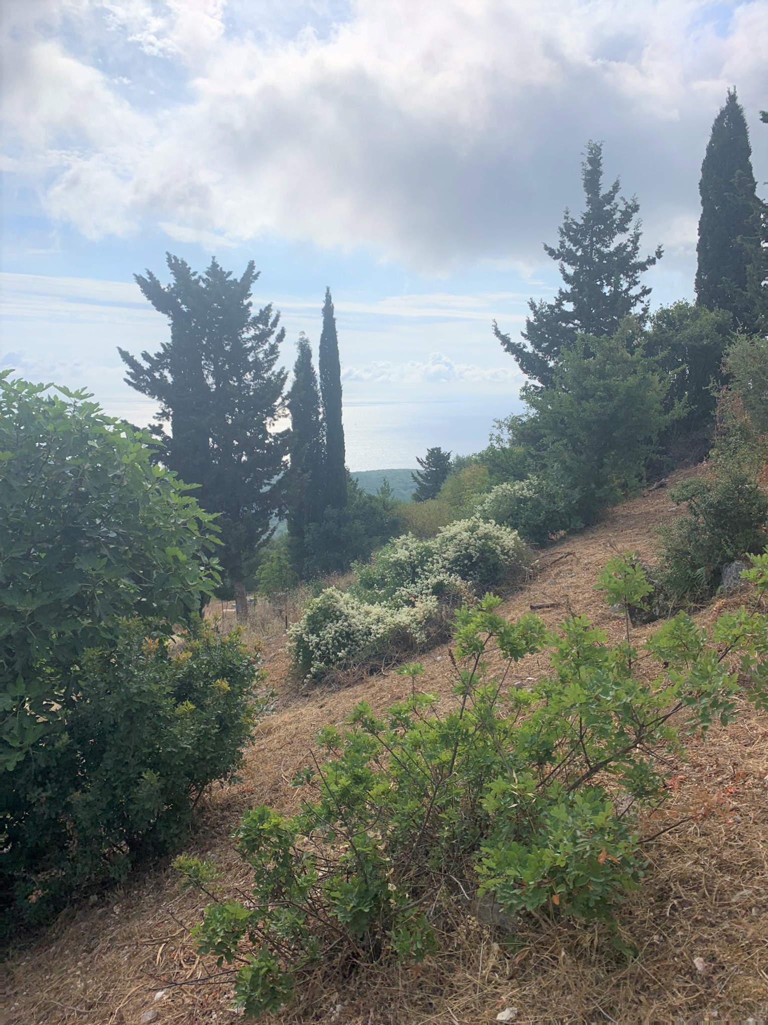Landscape and terrain of land for sale on Ithaca Greece, Perachori