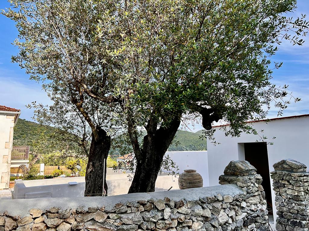 Garden area of villa for rent on Ithaca Greece, Lahos