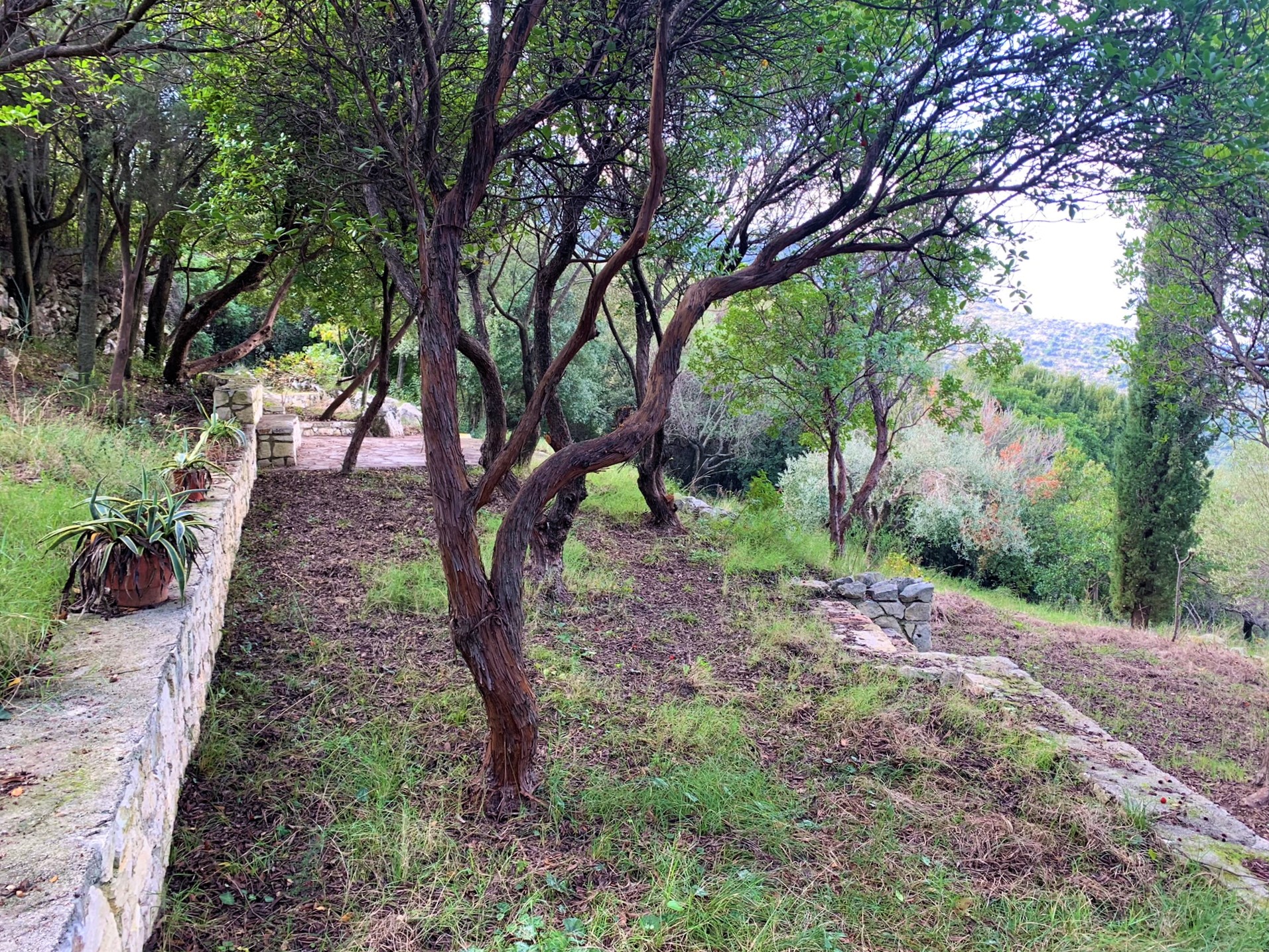 Outdoor areas of house for sale on Ithaca Greece, Vathi