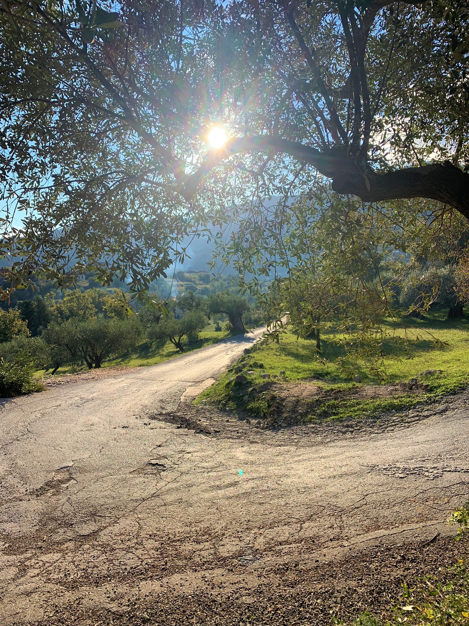 Road view of land for sale in Ithaca Greece, Platrithya