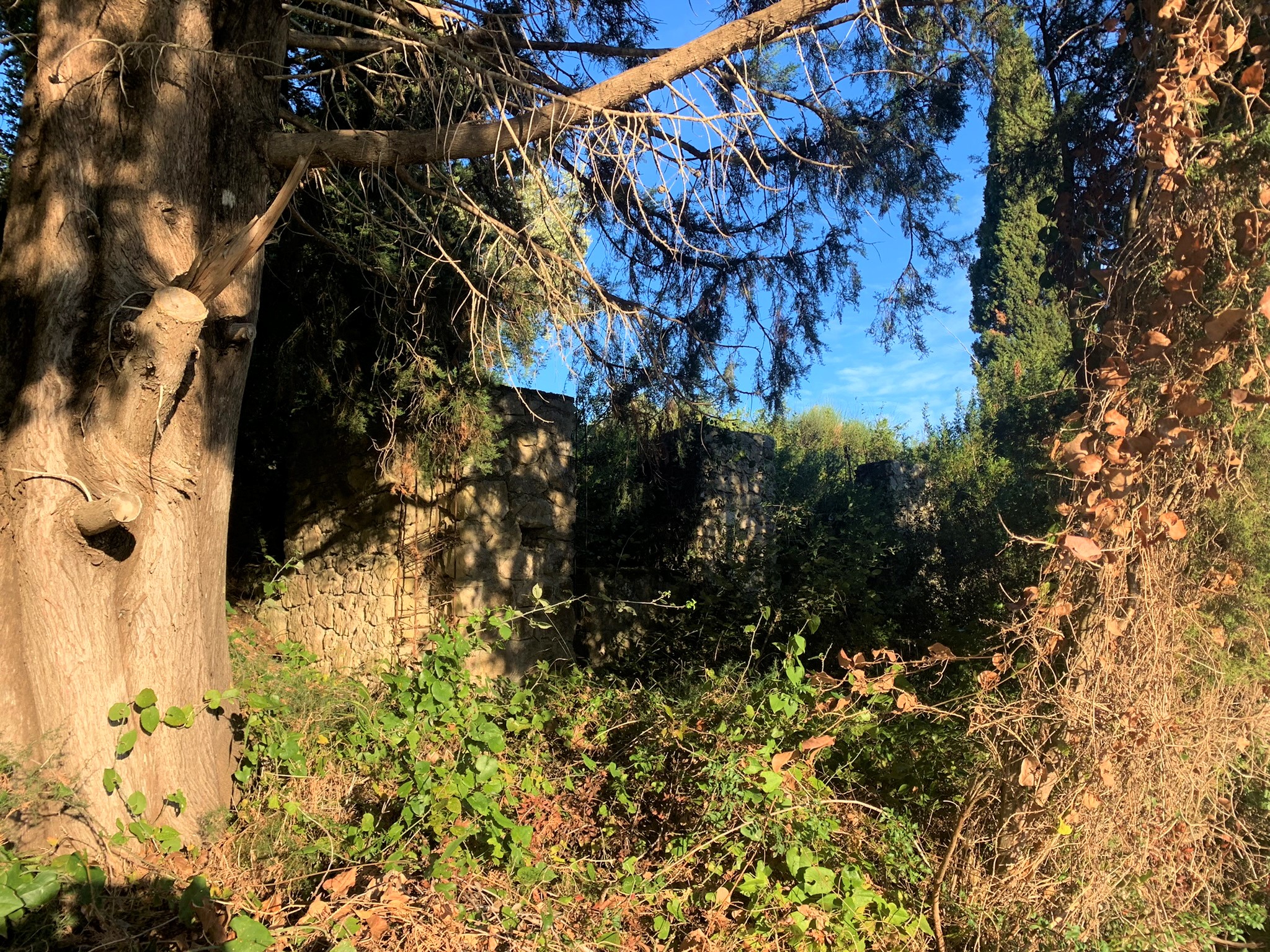 Old ruin on land for sale in Ithaca Greece, Platrithyas