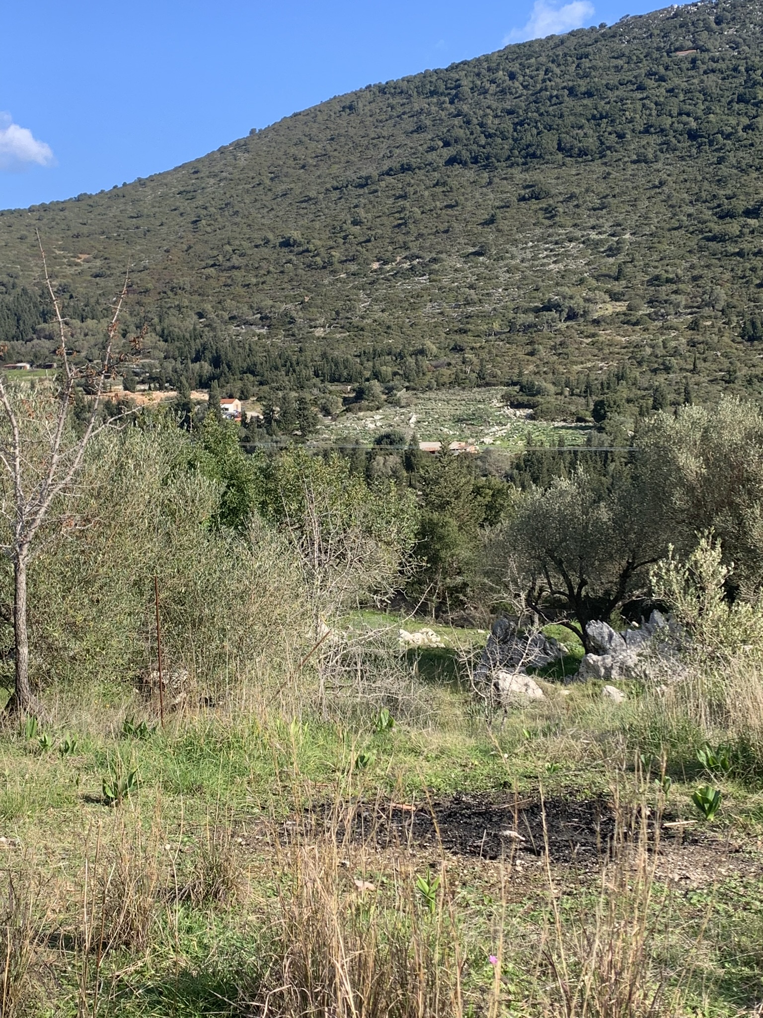 Terrain and landscape of land for sale, Ithaca Greece, Lahos
