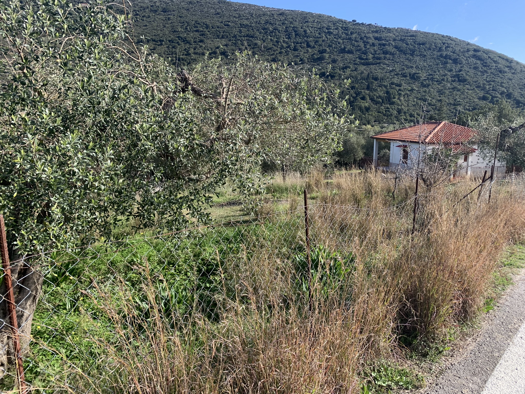 Terrain and landscape of land for sale, Ithaca Greece, Lahos