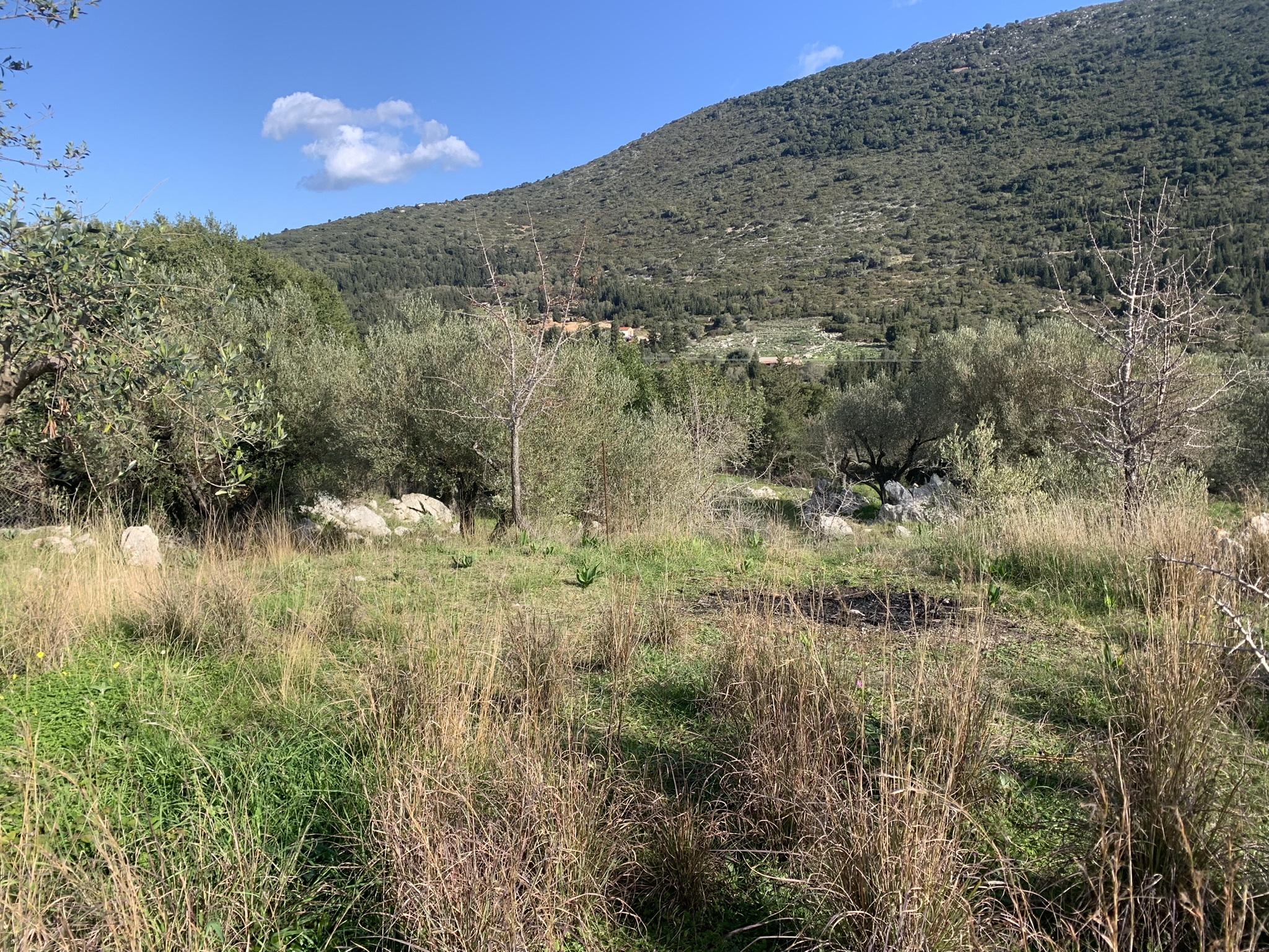 Terrain and landscape of land for sale, Ithaca Greece, Lahos