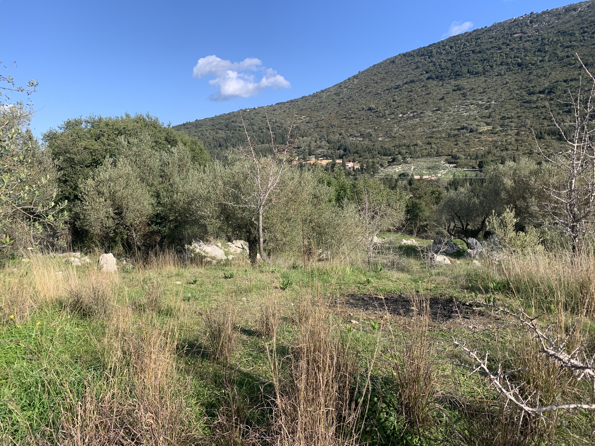 Terrain and landscape of land for sale, Ithaca Greece, Lahos