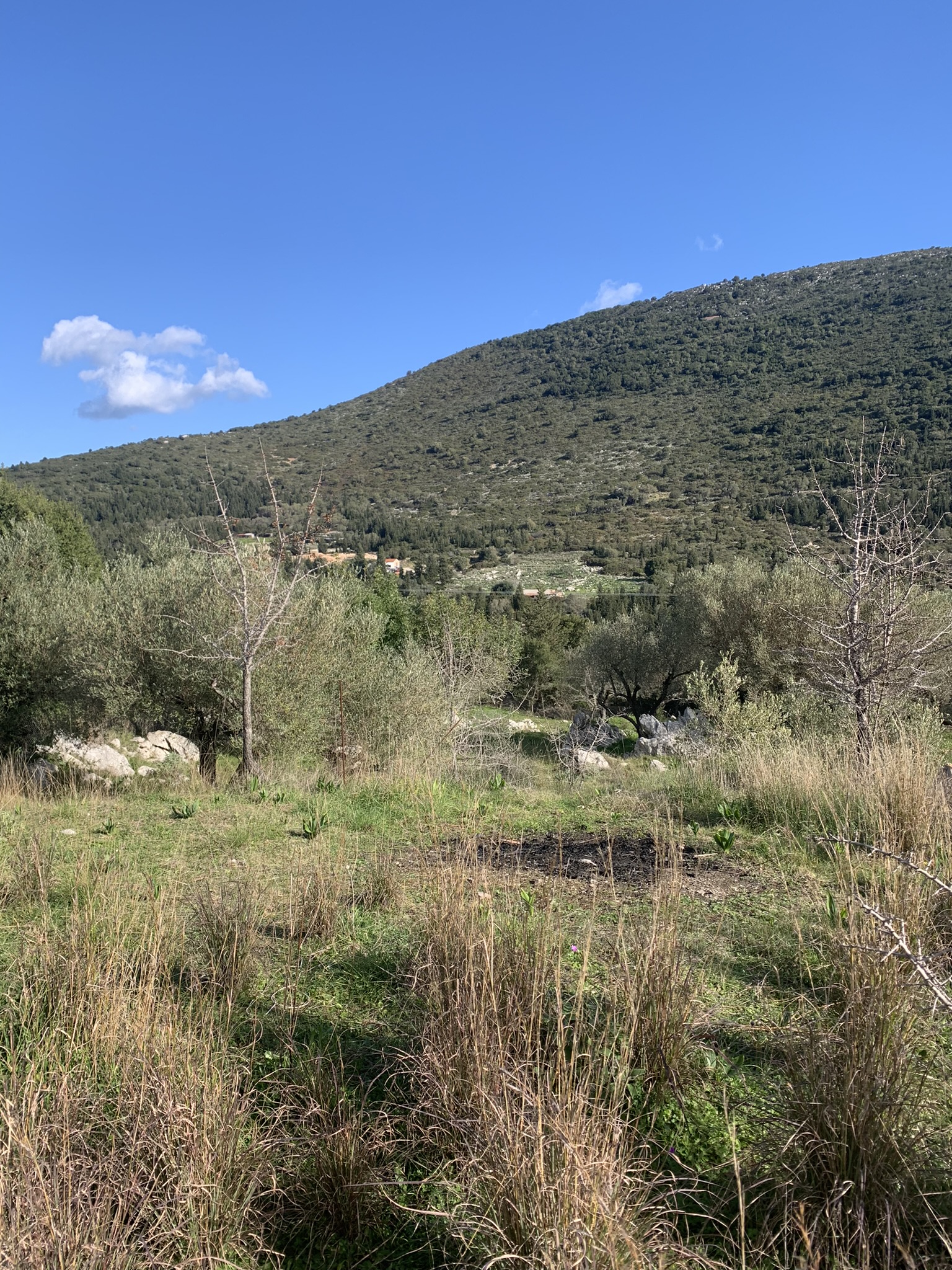 Terrain and landscape of land for sale, Ithaca Greece, Lahos