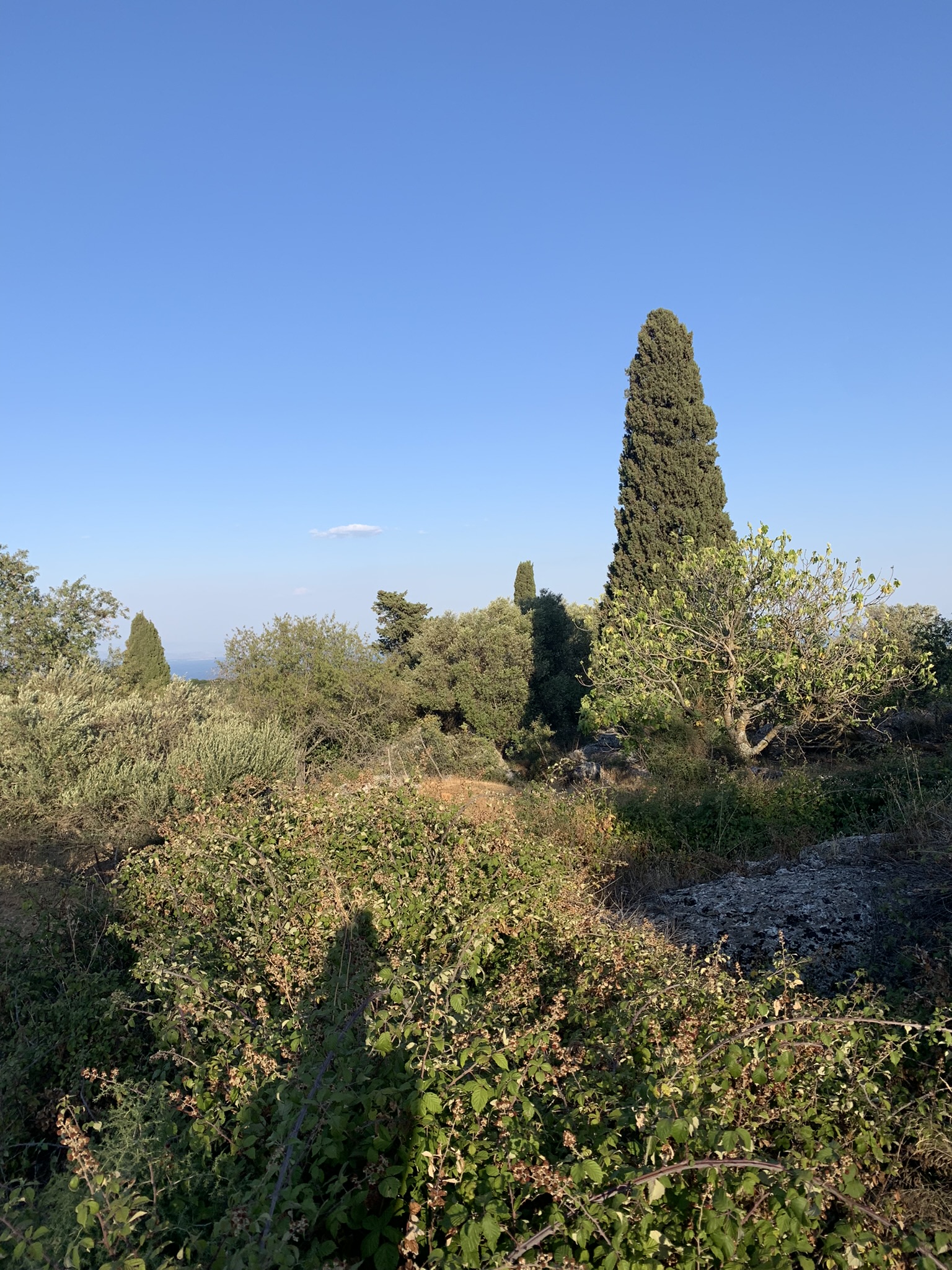 Views from house for sale Ithaca Greece, Anoghi