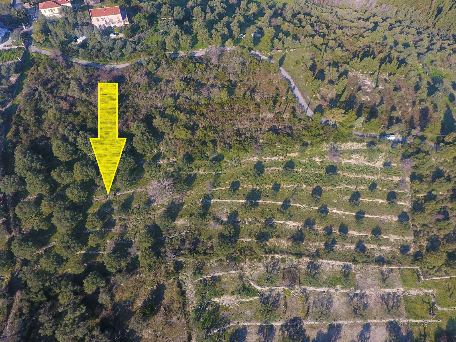 Aerial views of land for sale on Ithaca Greece, Pilikata