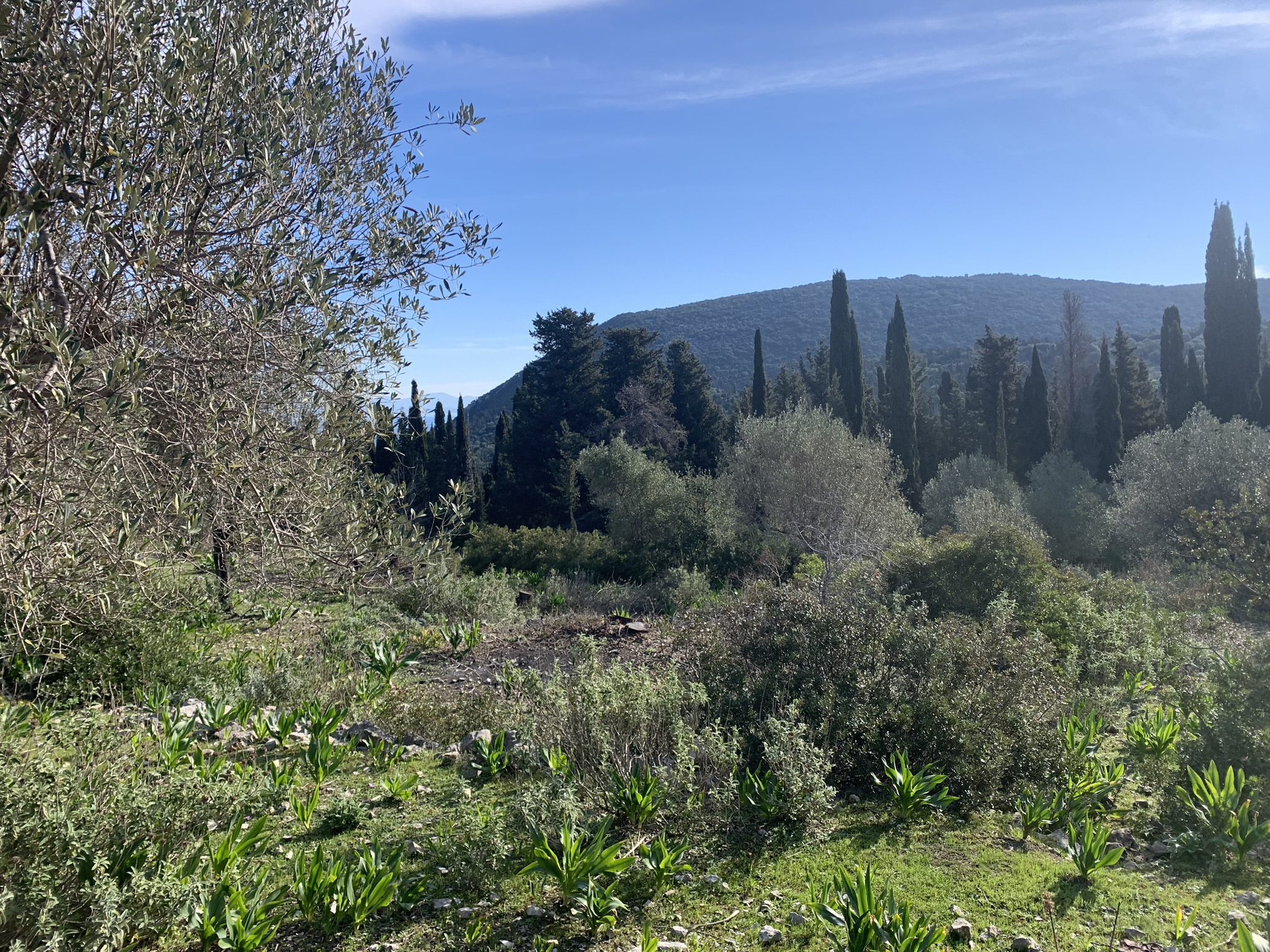 Landscape and terrain of land for sale on Ithaca Greece, Stavros