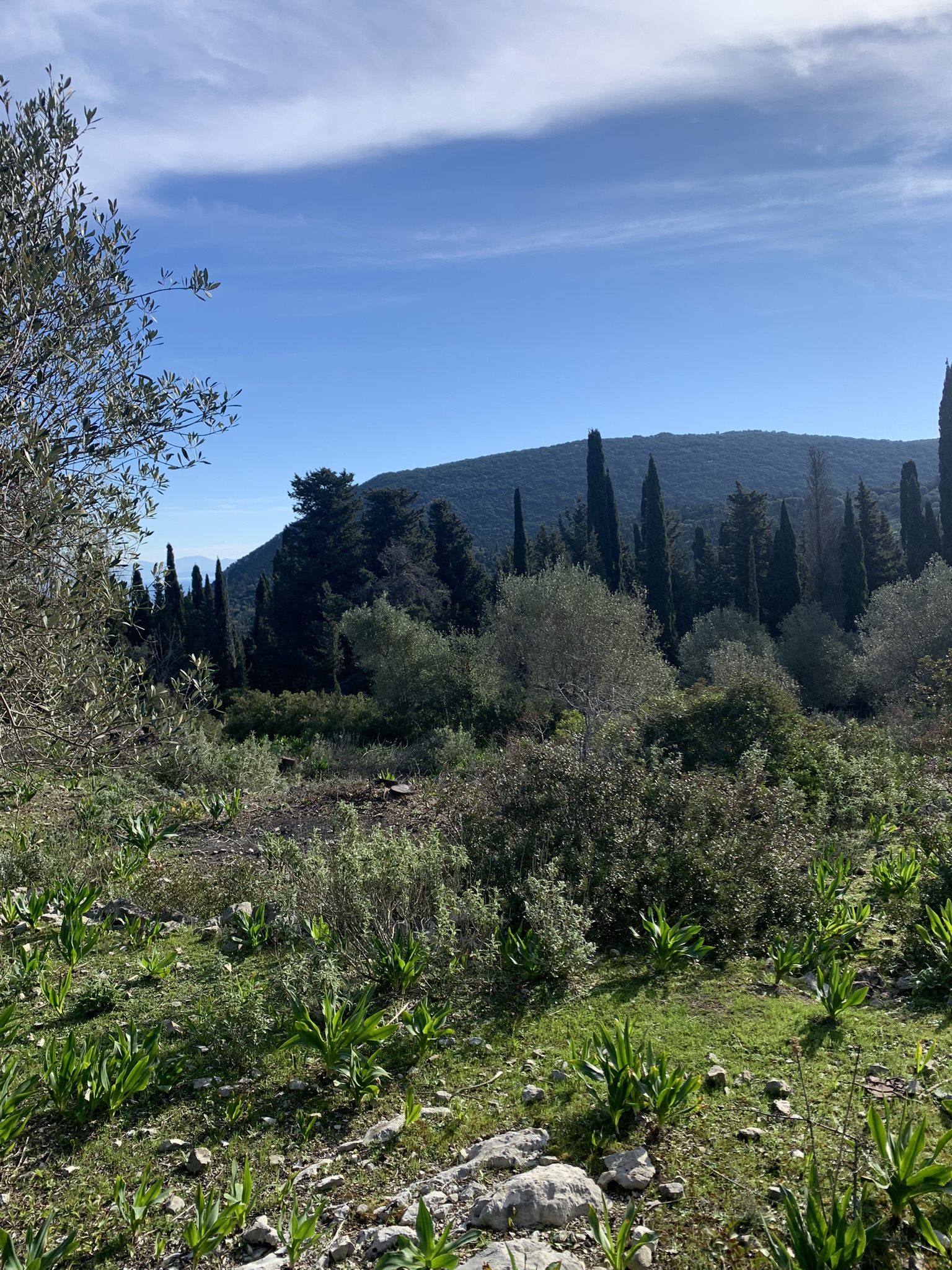 Landscape and terrain of land for sale on Ithaca Greece, Stavros