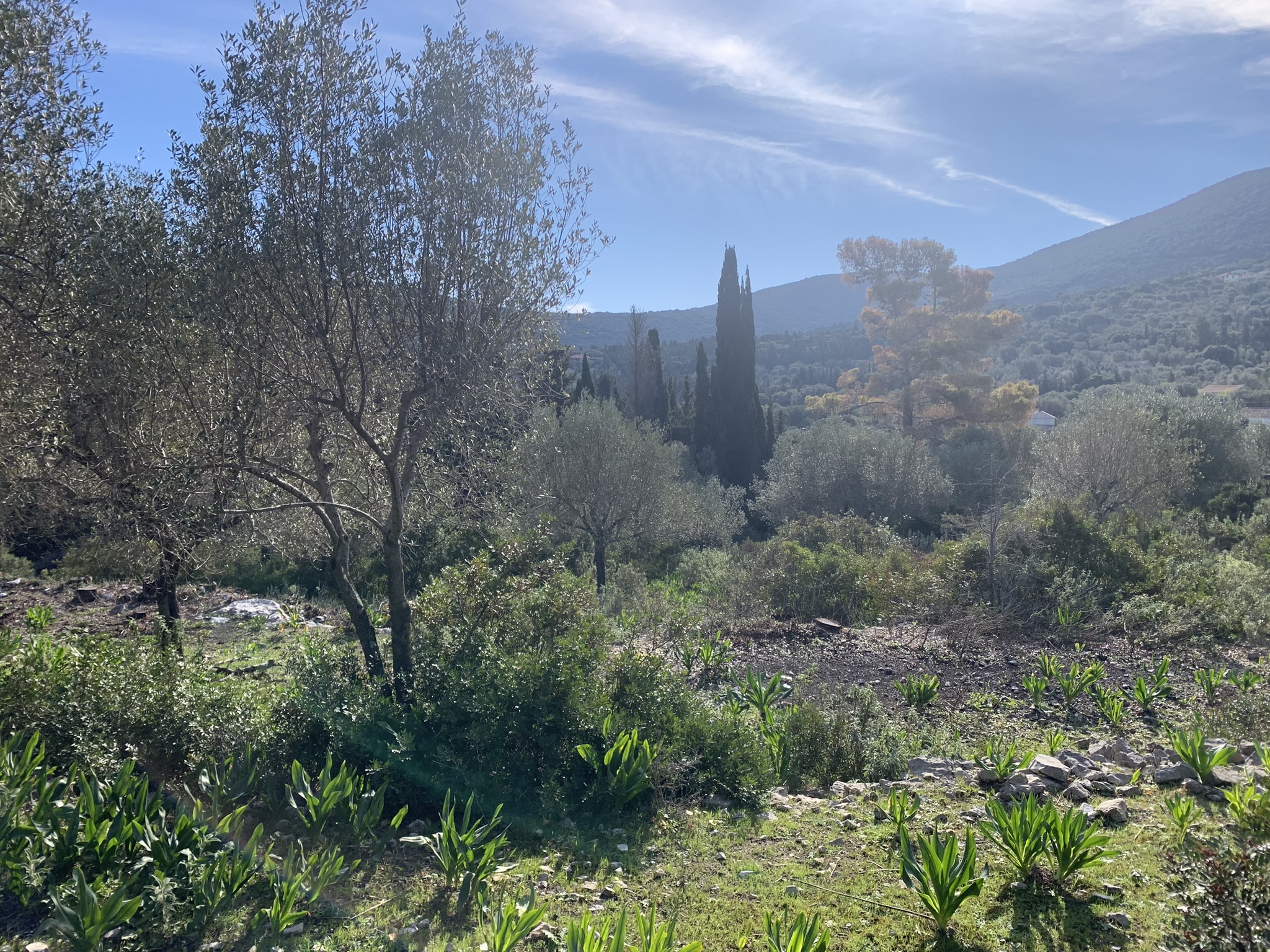 Landscape and terrain of land for sale on Ithaca Greece, Stavros