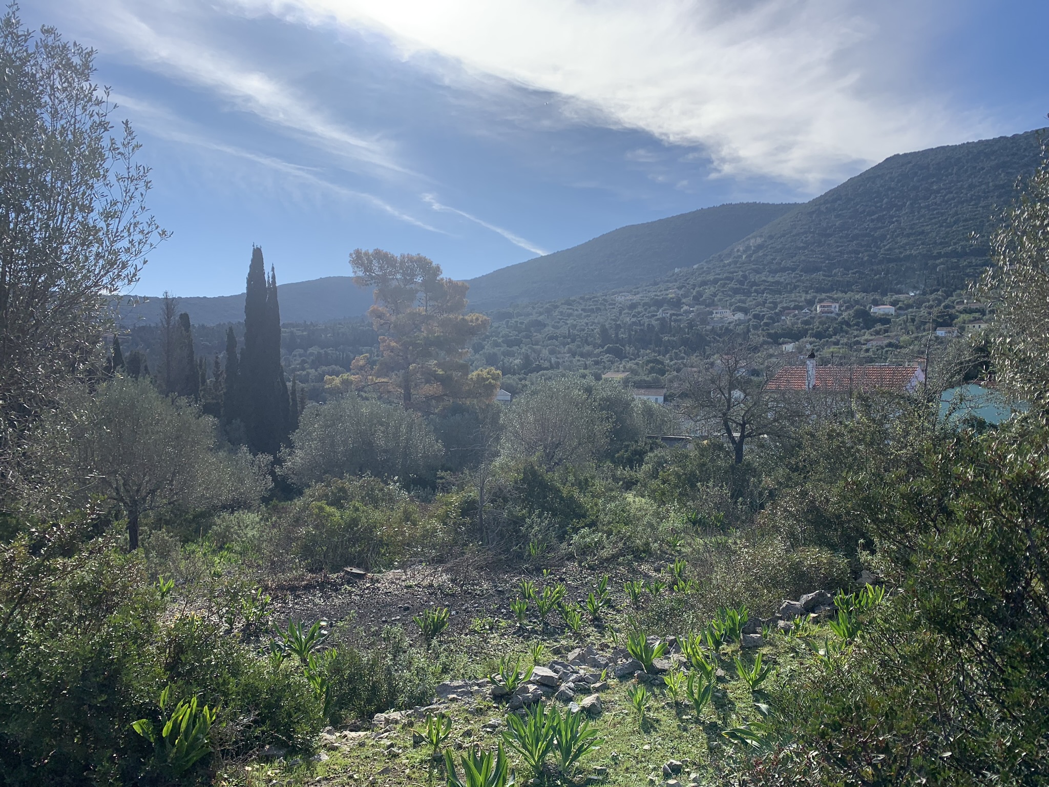 Landscape and terrain of land for sale on Ithaca Greece, Stavros