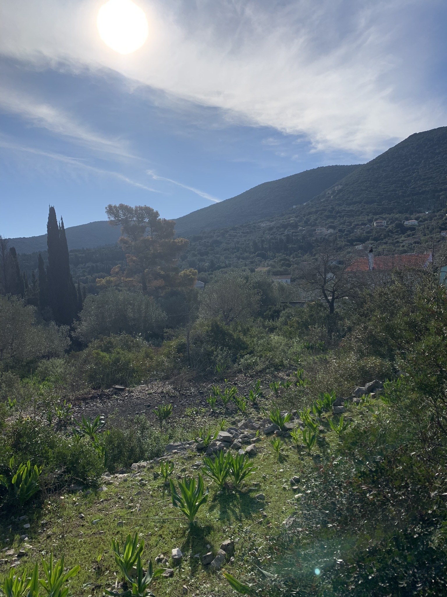 Landscape and terrain of land for sale on Ithaca Greece, Stavros