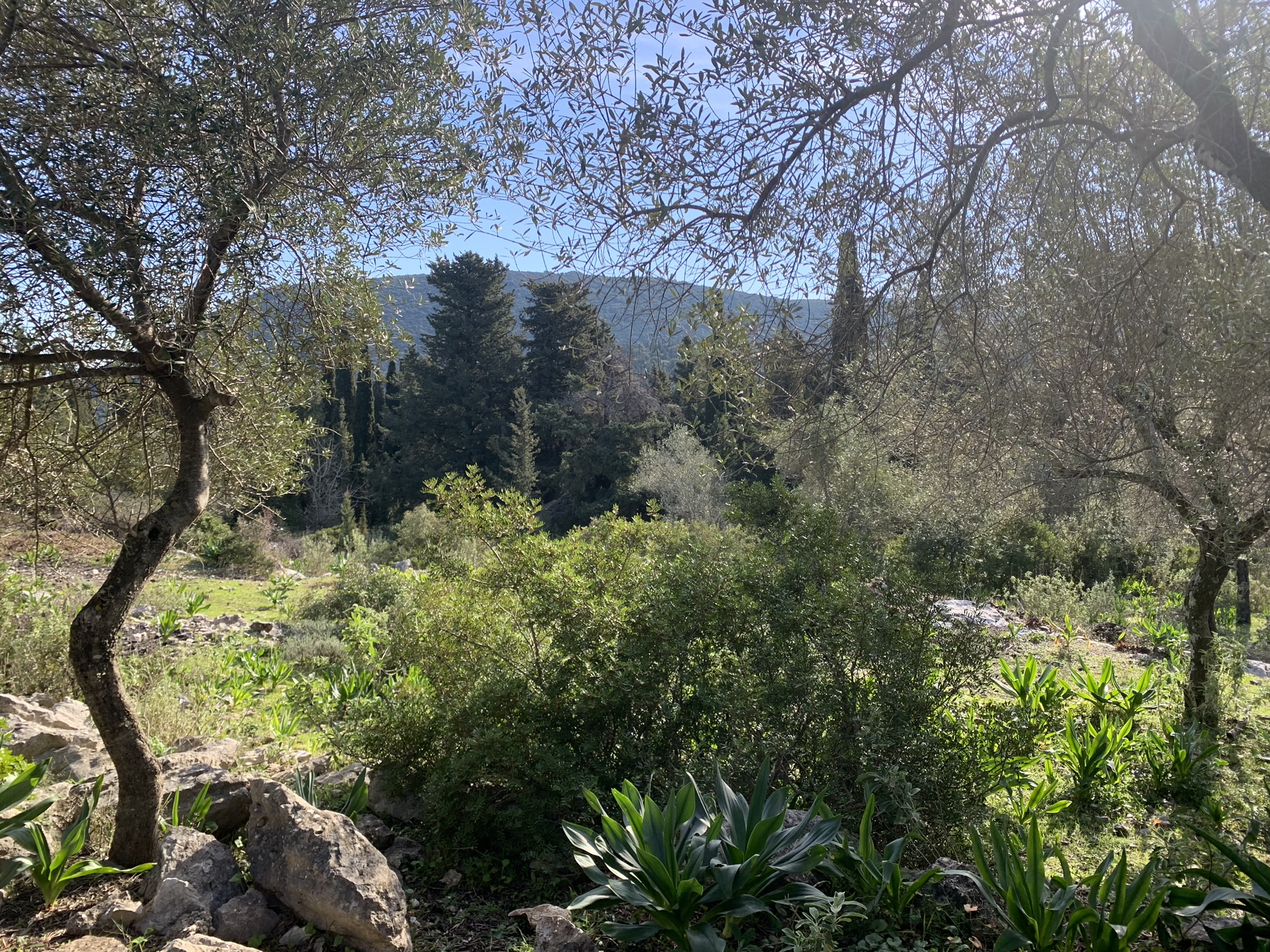Landscape and terrain of land for sale on Ithaca Greece, Stavros