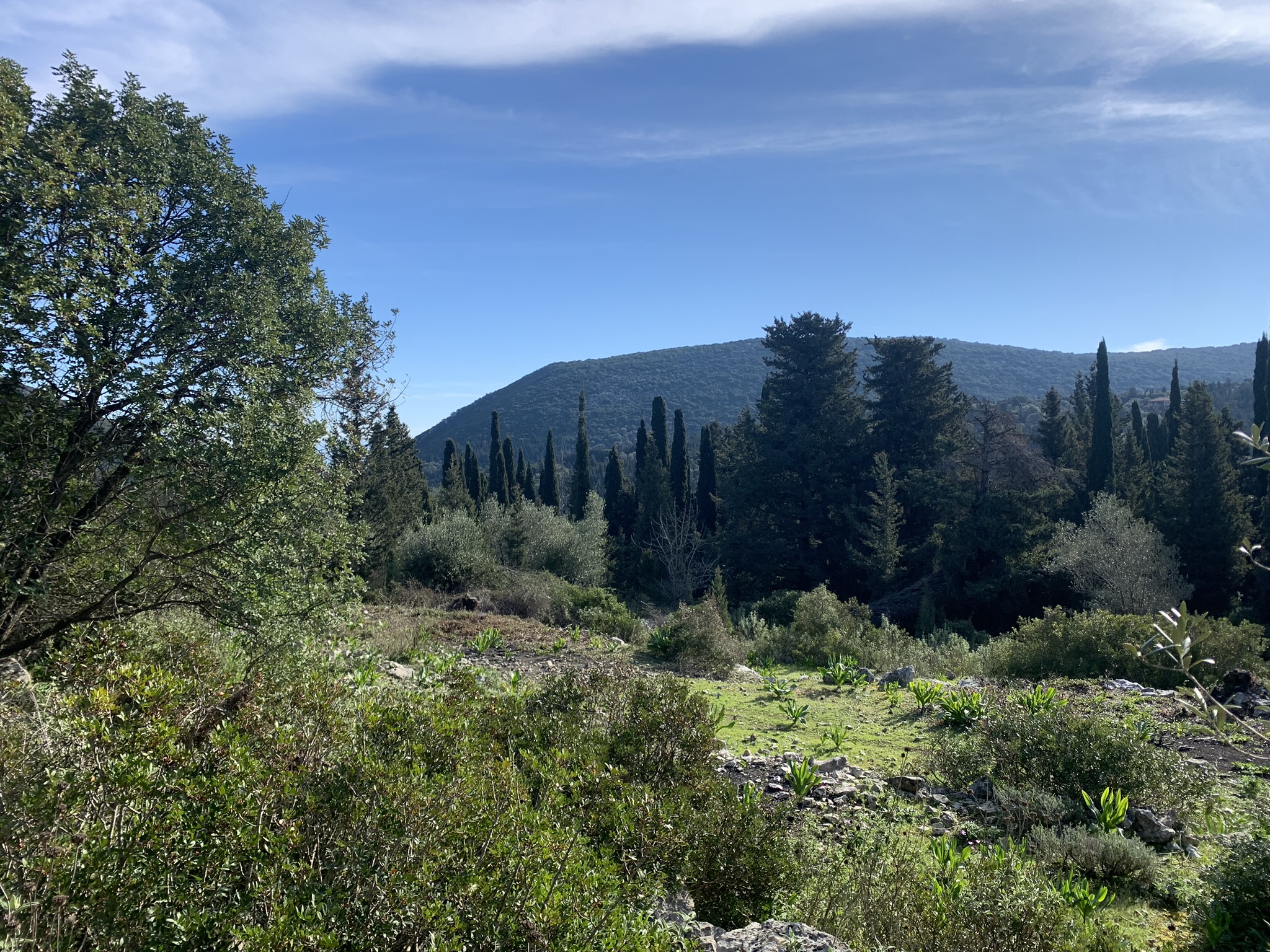 Landscape and terrain of land for sale on Ithaca Greece, Stavros