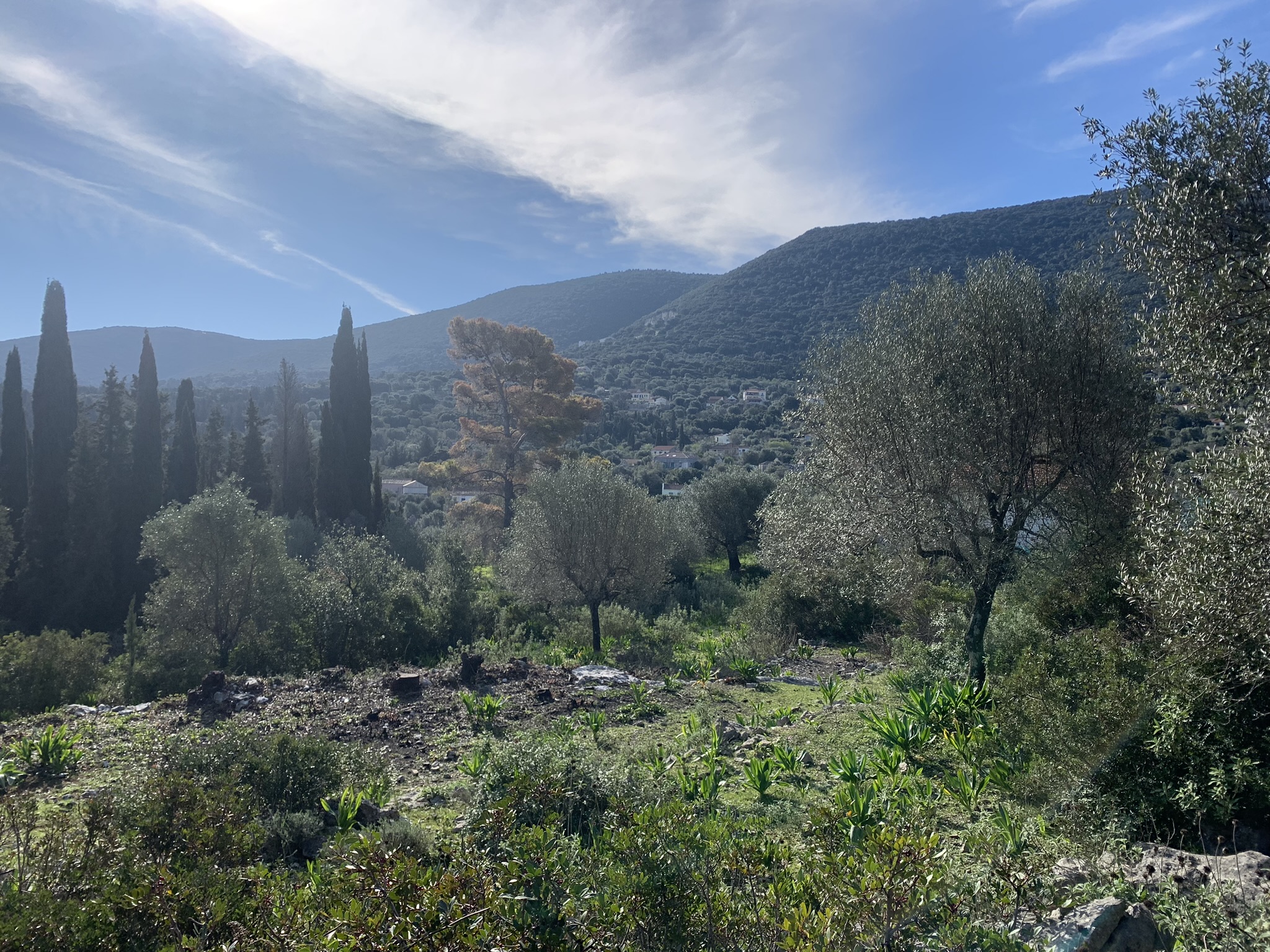 Landscape and terrain of land for sale on Ithaca Greece, Stavros