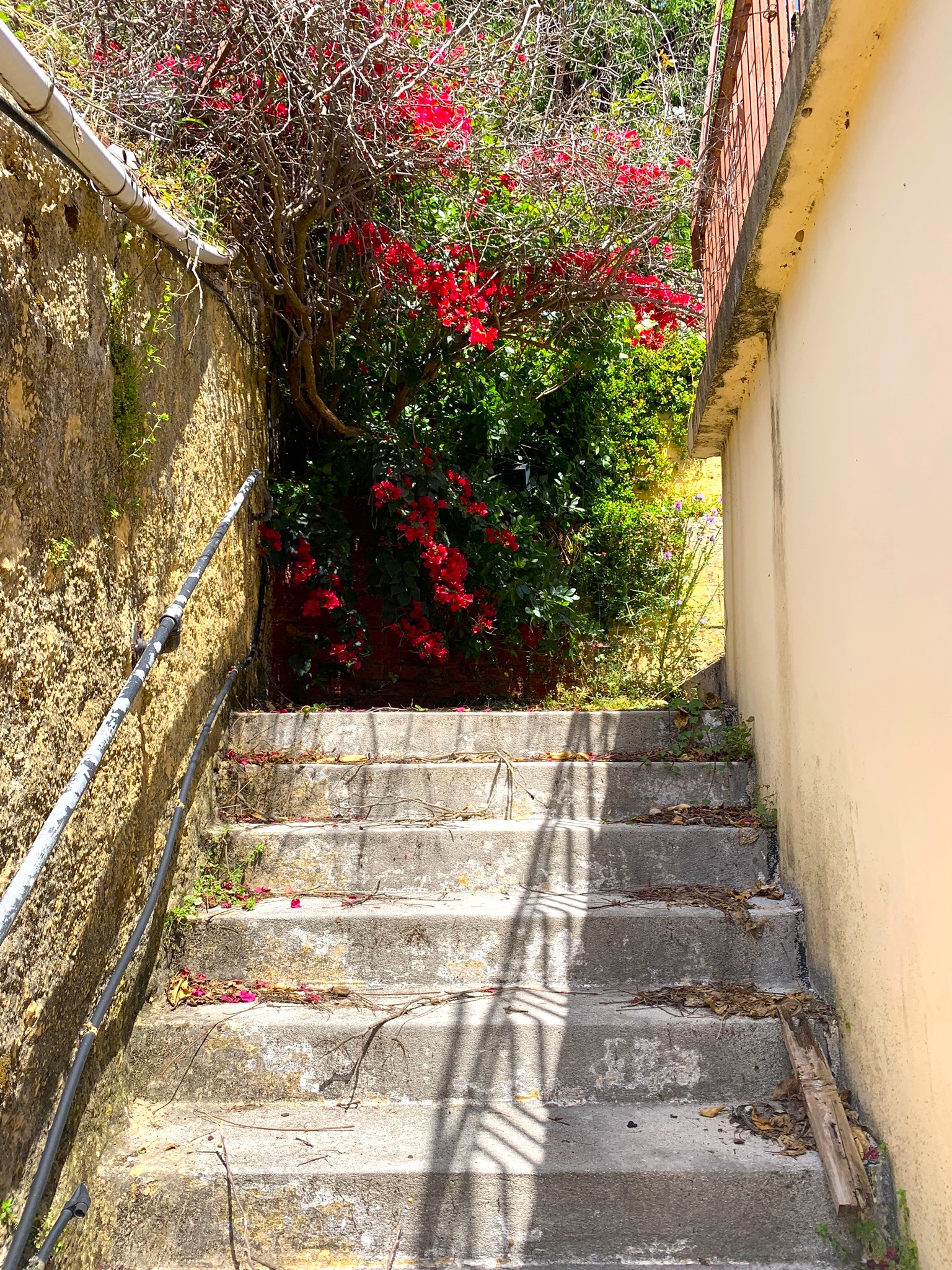 Outdoor spaces of house for sale on Ithaca Greece, Frikes